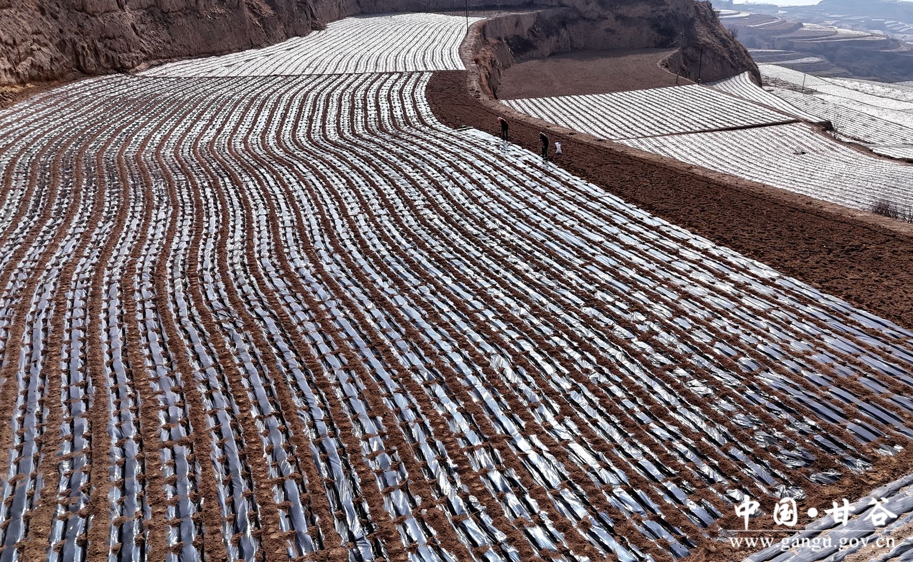 DJI_20250307110549_0572_D DJI_20250307110549_0572_D