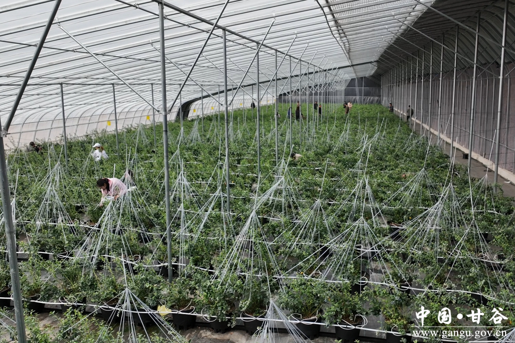 微信图片_20250328152712 微信图片_20250328152712