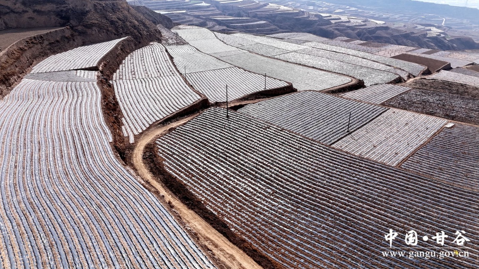 DJI_20250307111512_0593_D DJI_20250307111512_0593_D