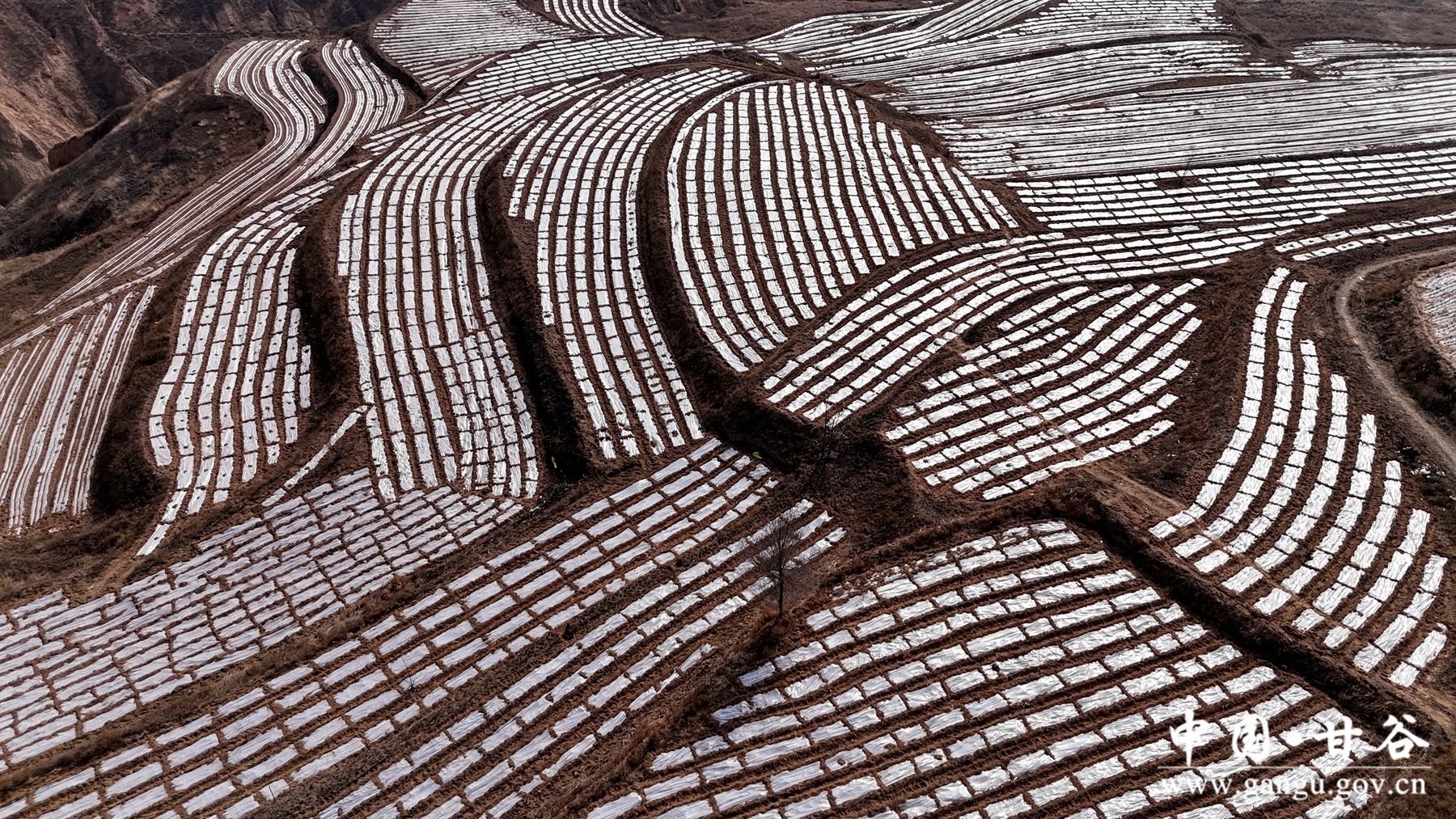 DJI_20250307105022_0568_D DJI_20250307105022_0568_D