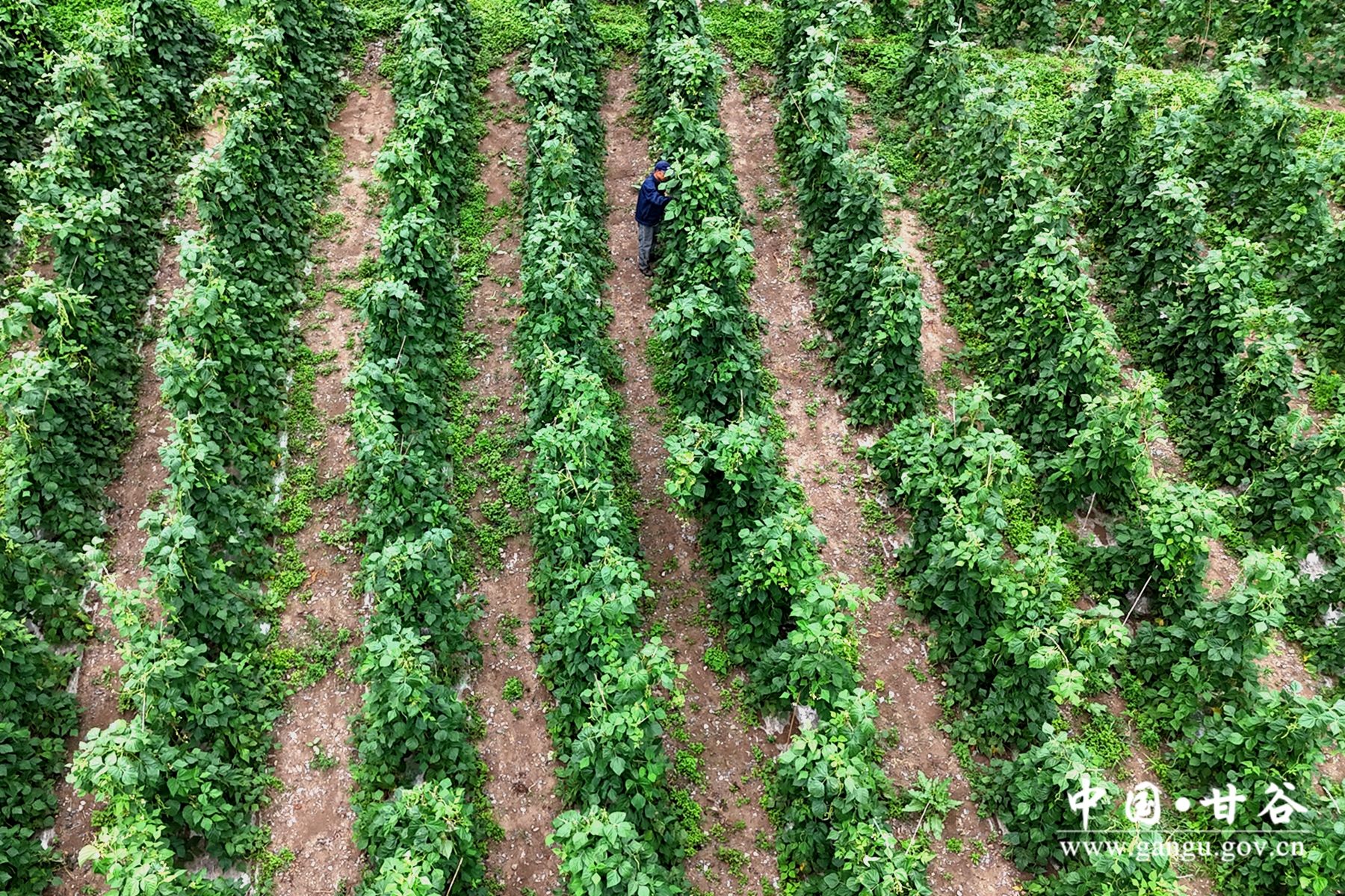 9b1640ab6e05bbc18883fb8c8ae8850 9b1640ab6e05bbc18883fb8c8ae8850