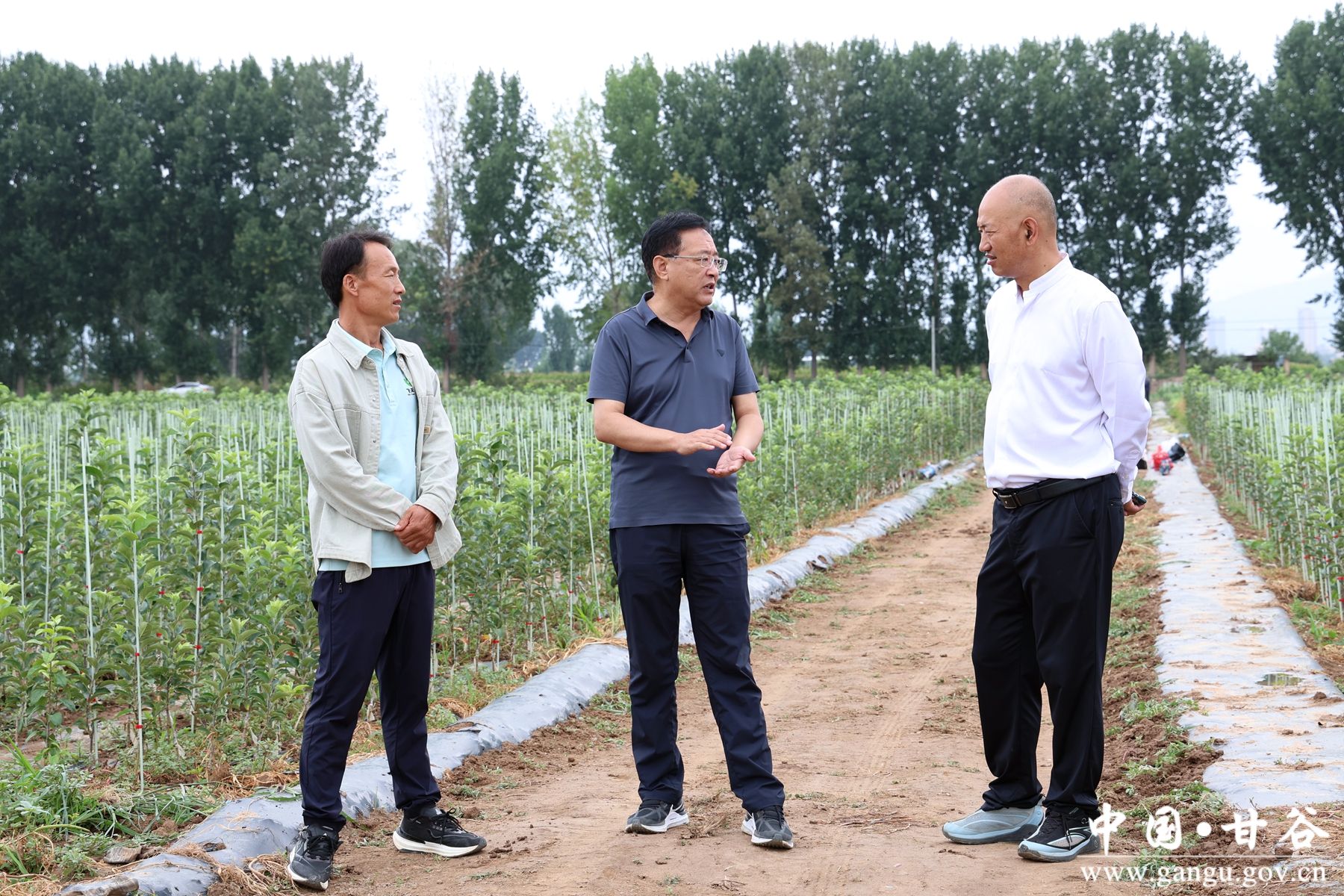 微信图片_20250806105432 微信图片_20250806105432