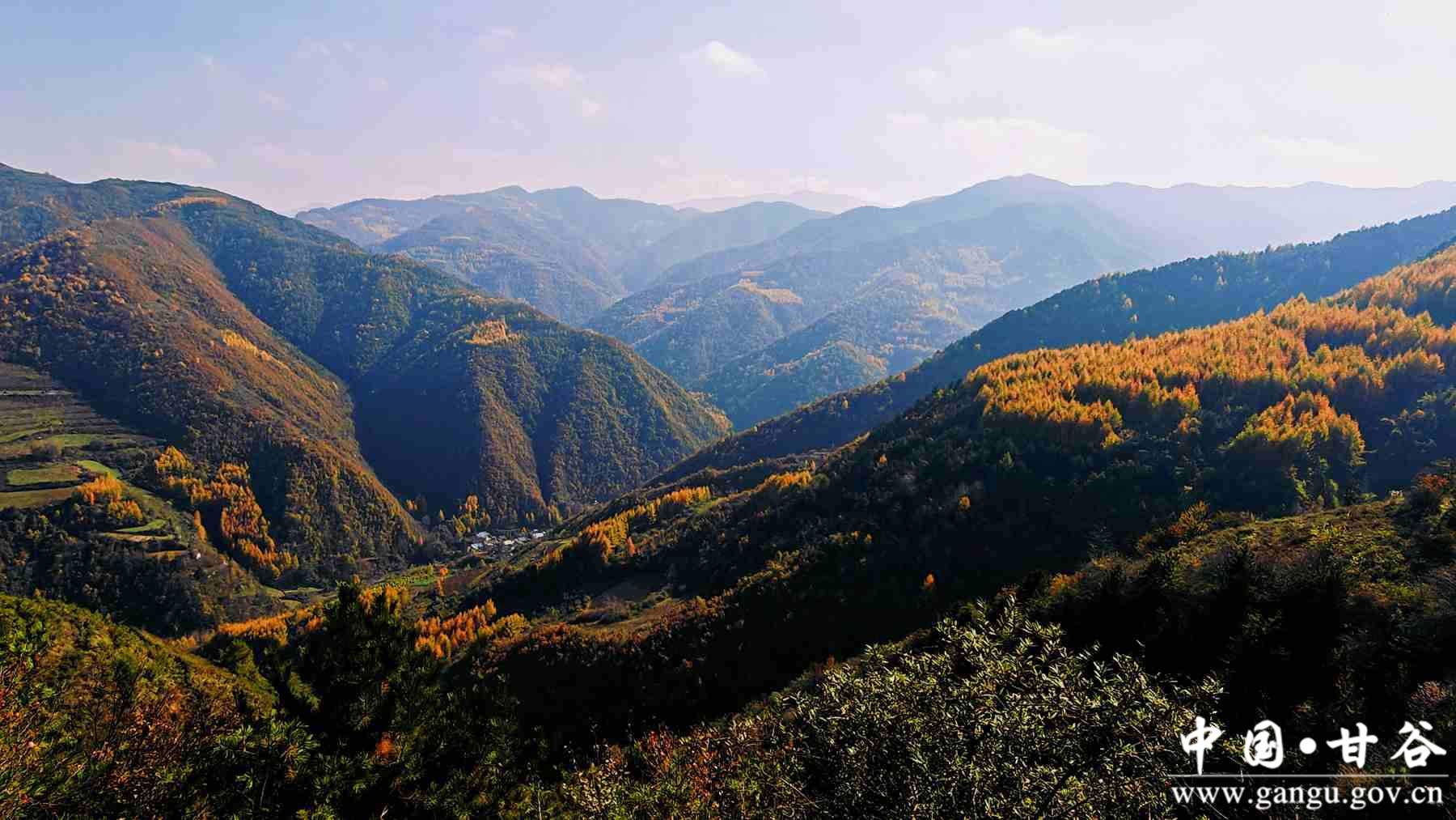 程新芳 (21) 程新芳 (21)