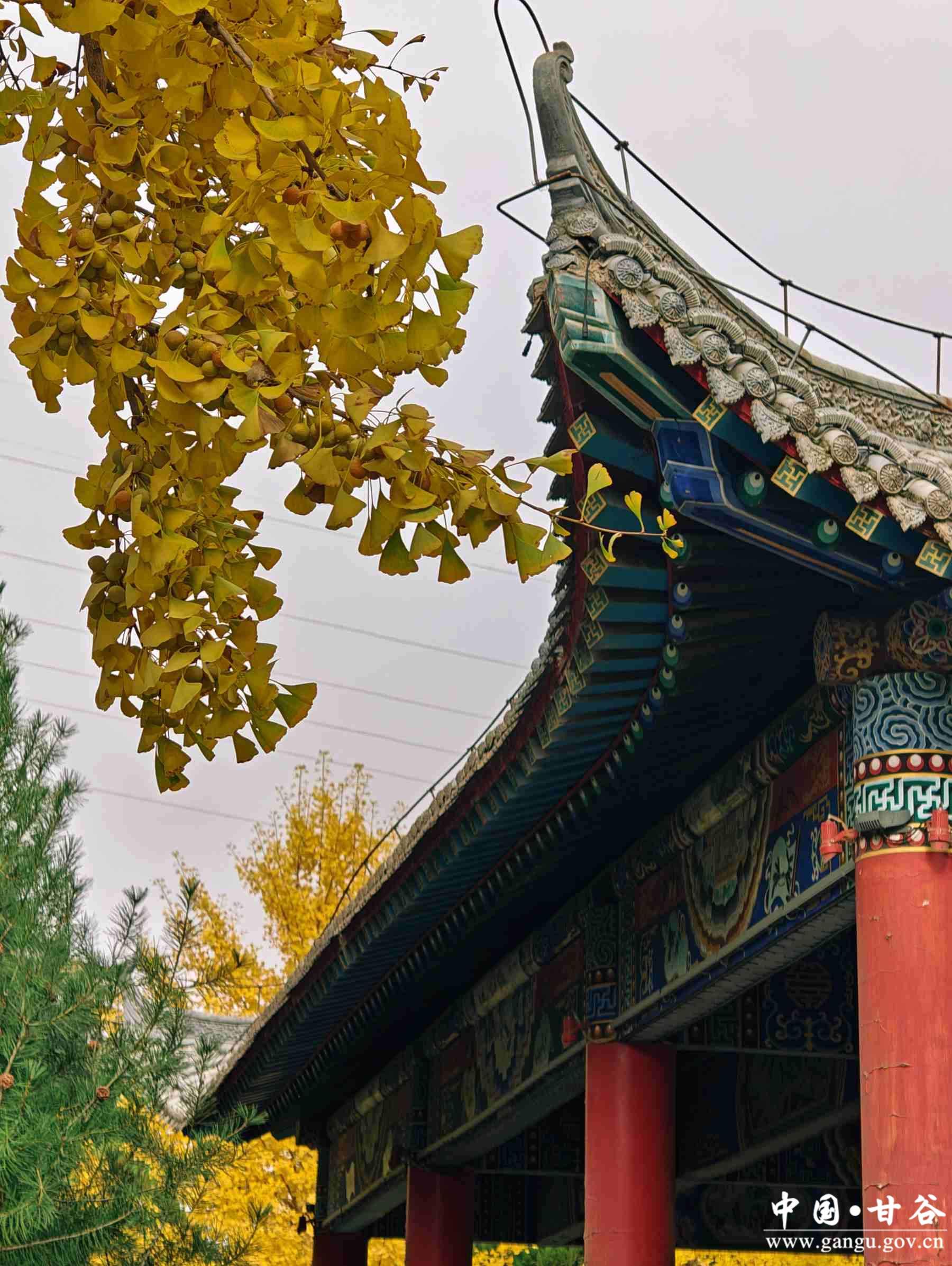 程新芳 (5) 程新芳 (5)