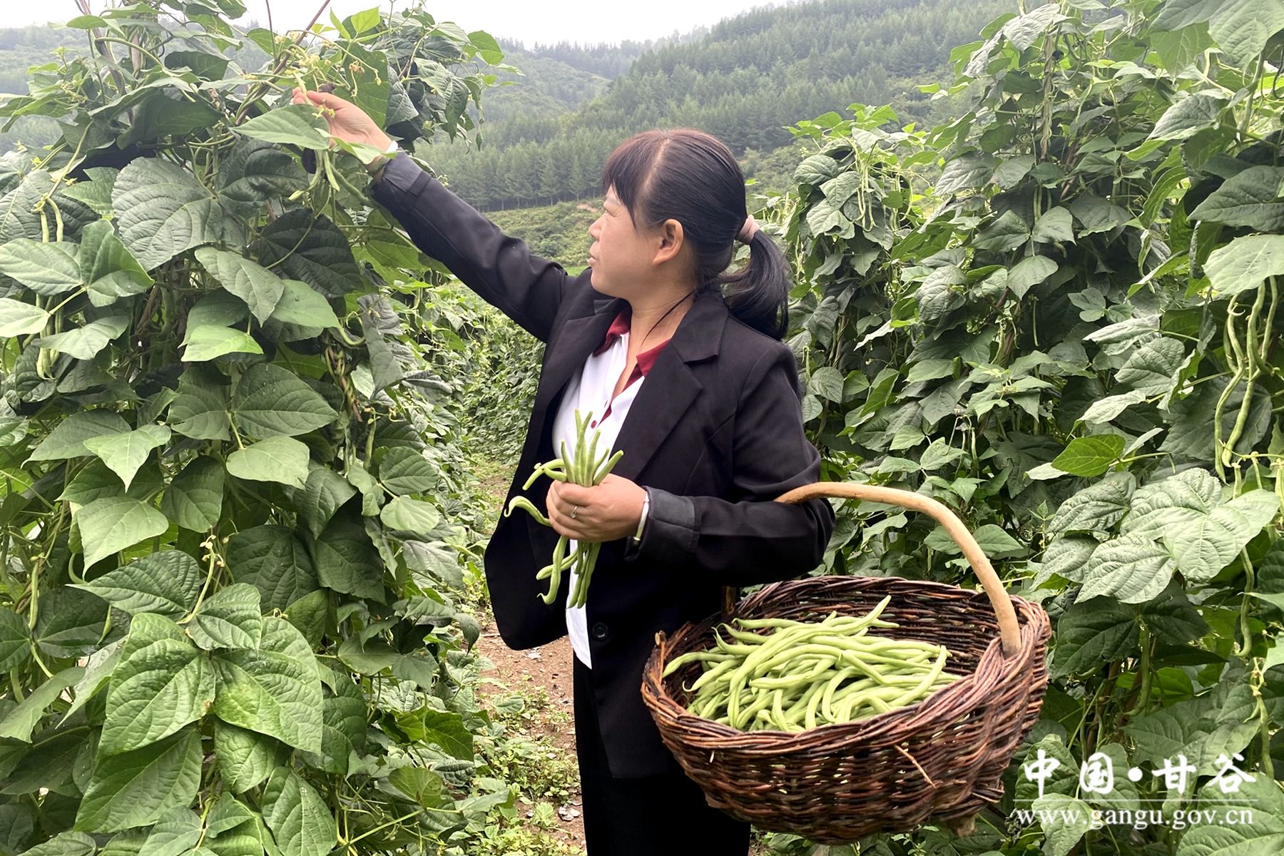 029af438e3ca55a66d236521400af78 029af438e3ca55a66d236521400af78