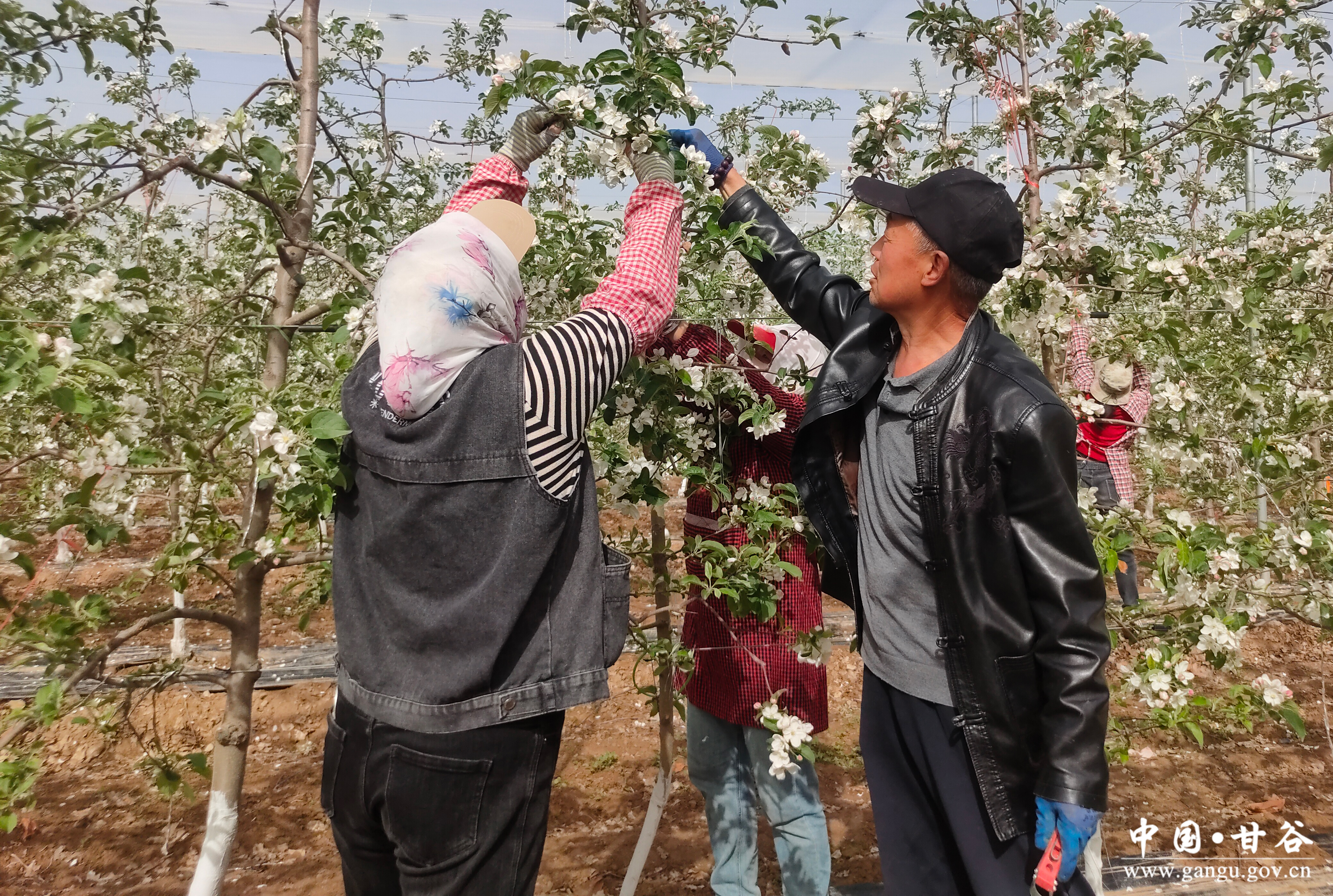 1776392985930092670.jpg 1776392985930092670.jpg