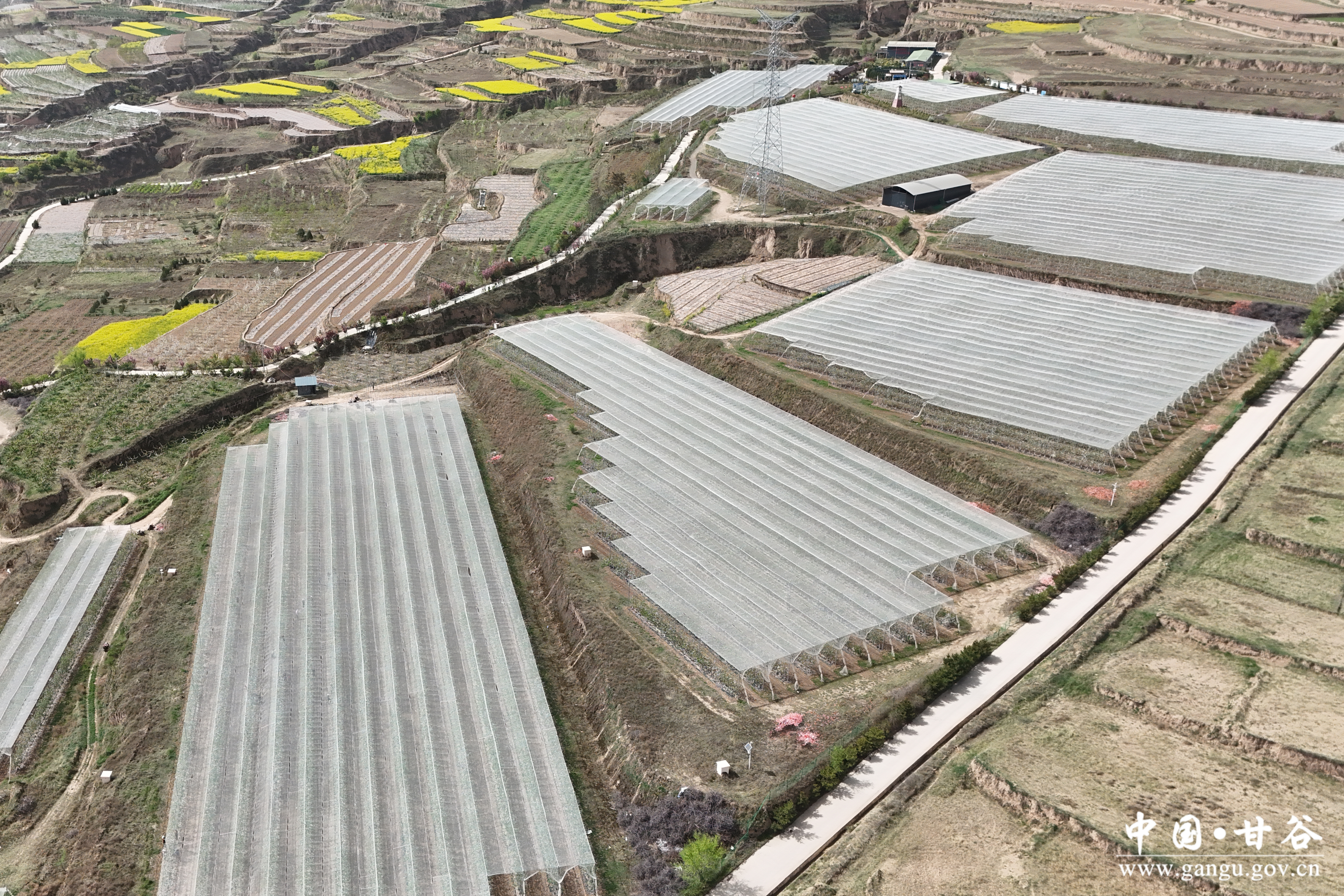 1776393108173025767.jpg 1776393108173025767.jpg