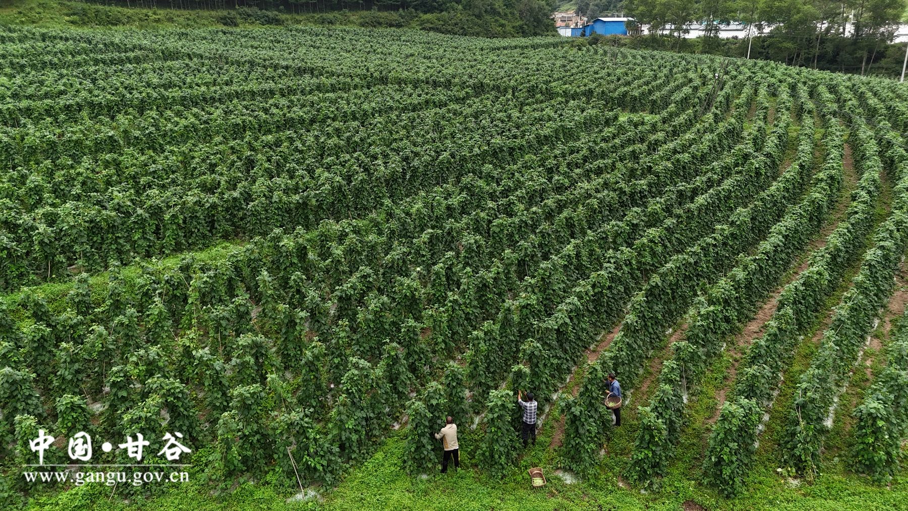 eee96149ecf89af226df52b88265b6c eee96149ecf89af226df52b88265b6c