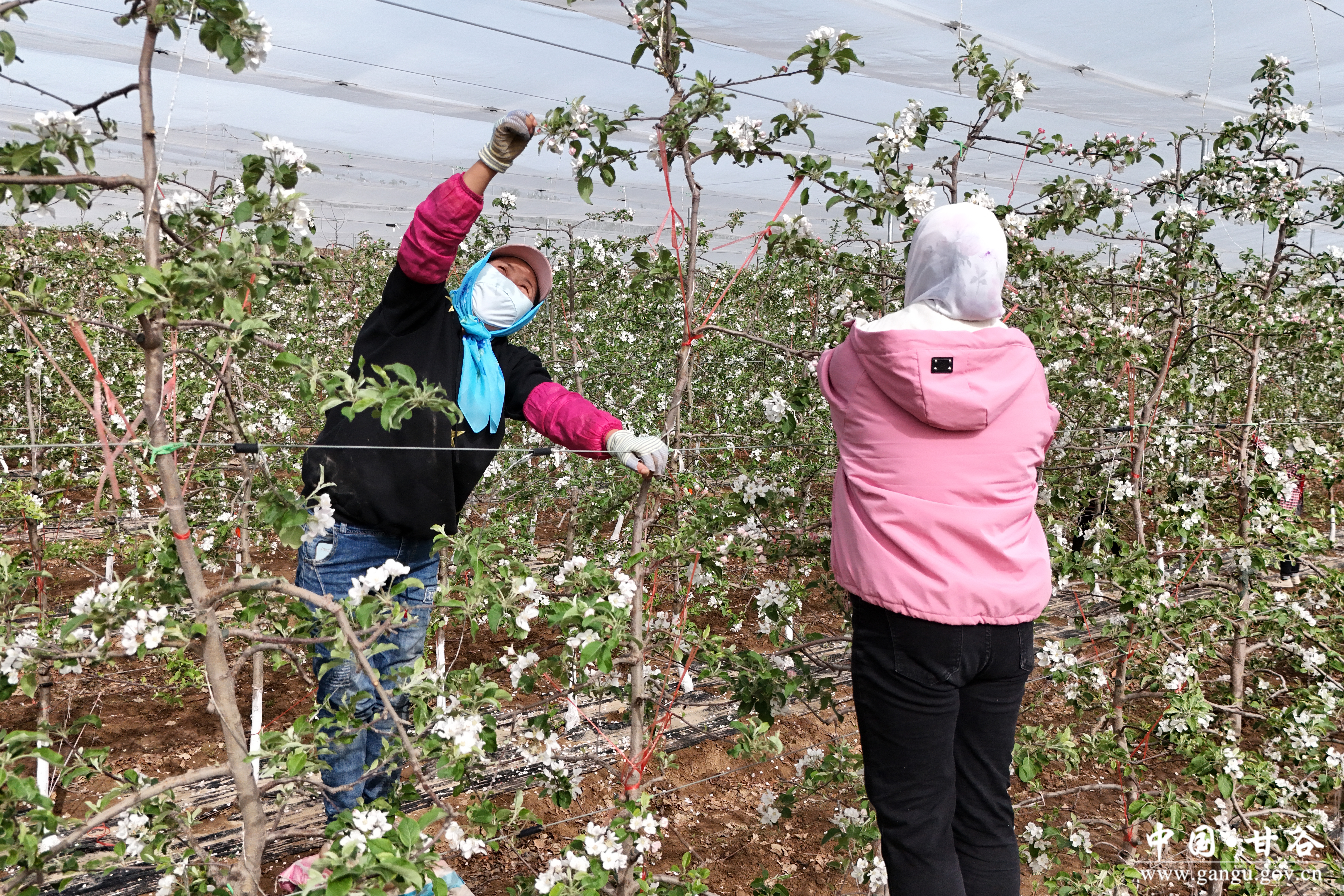 1776392913232082507.jpg 1776392913232082507.jpg