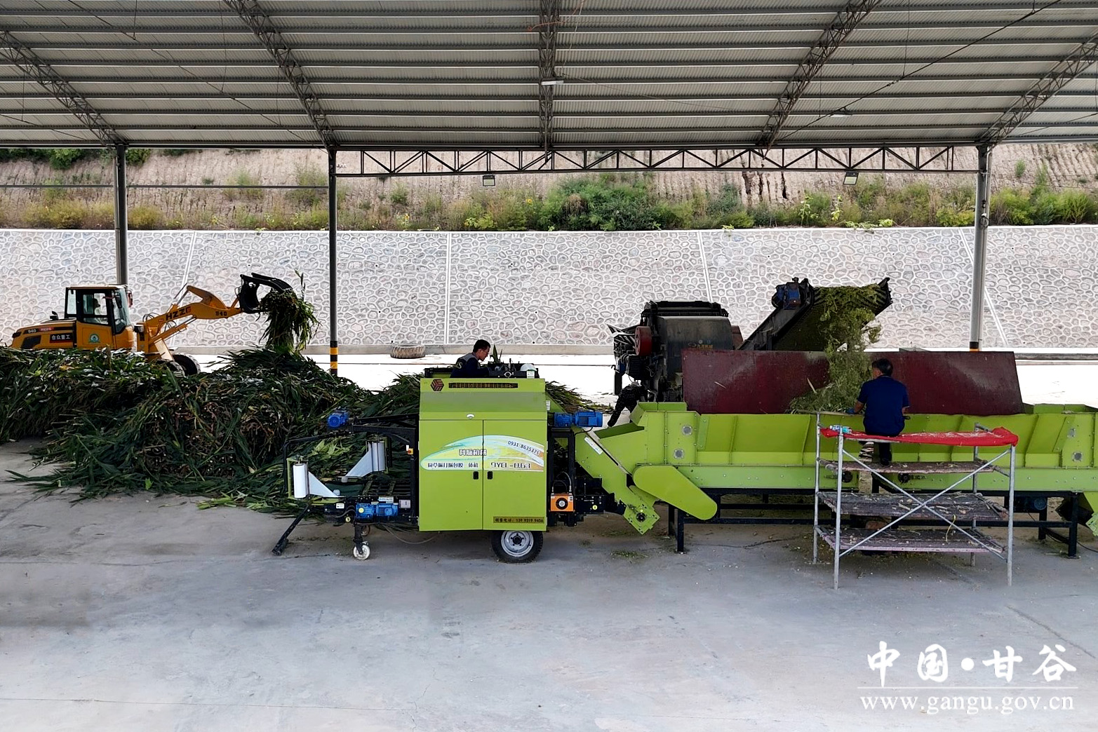 1724375860735094534.jpg 1724375860735094534.jpg