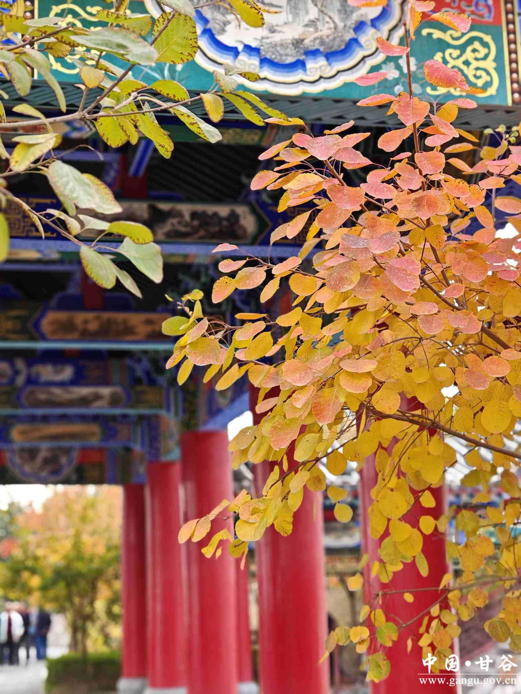 程新芳 (18) 程新芳 (18)