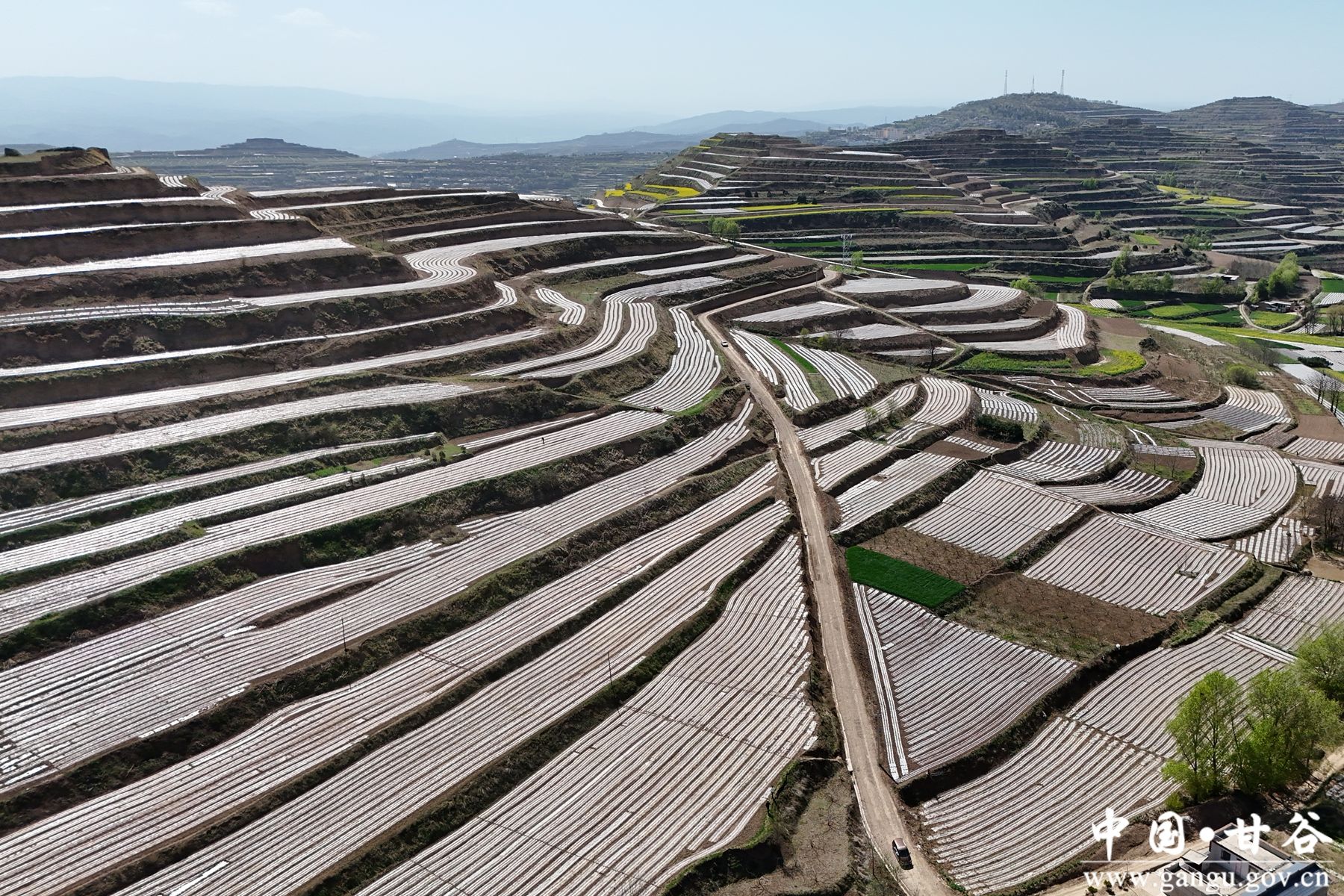 微信图片_20260420104545_36_38 微信图片_20260420104545_36_38