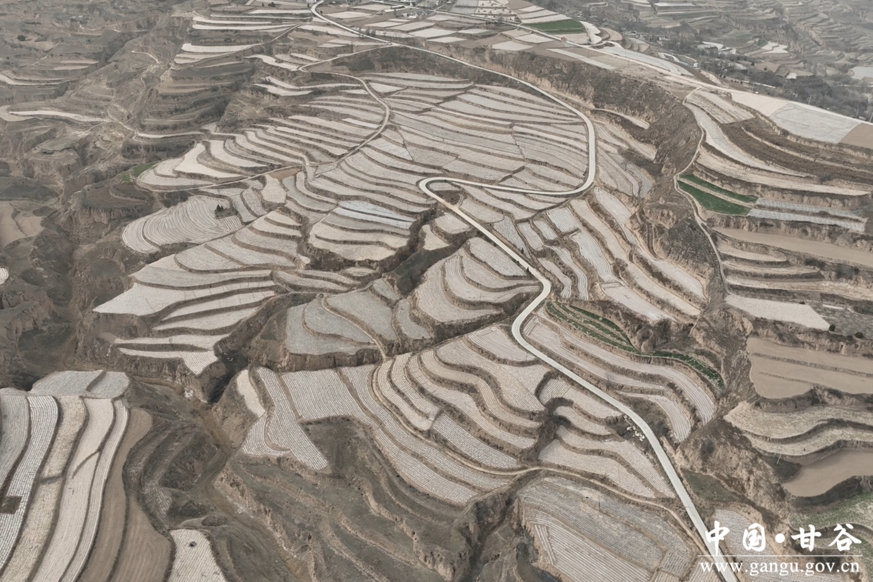 微信图片_20250402152059 微信图片_20250402152059