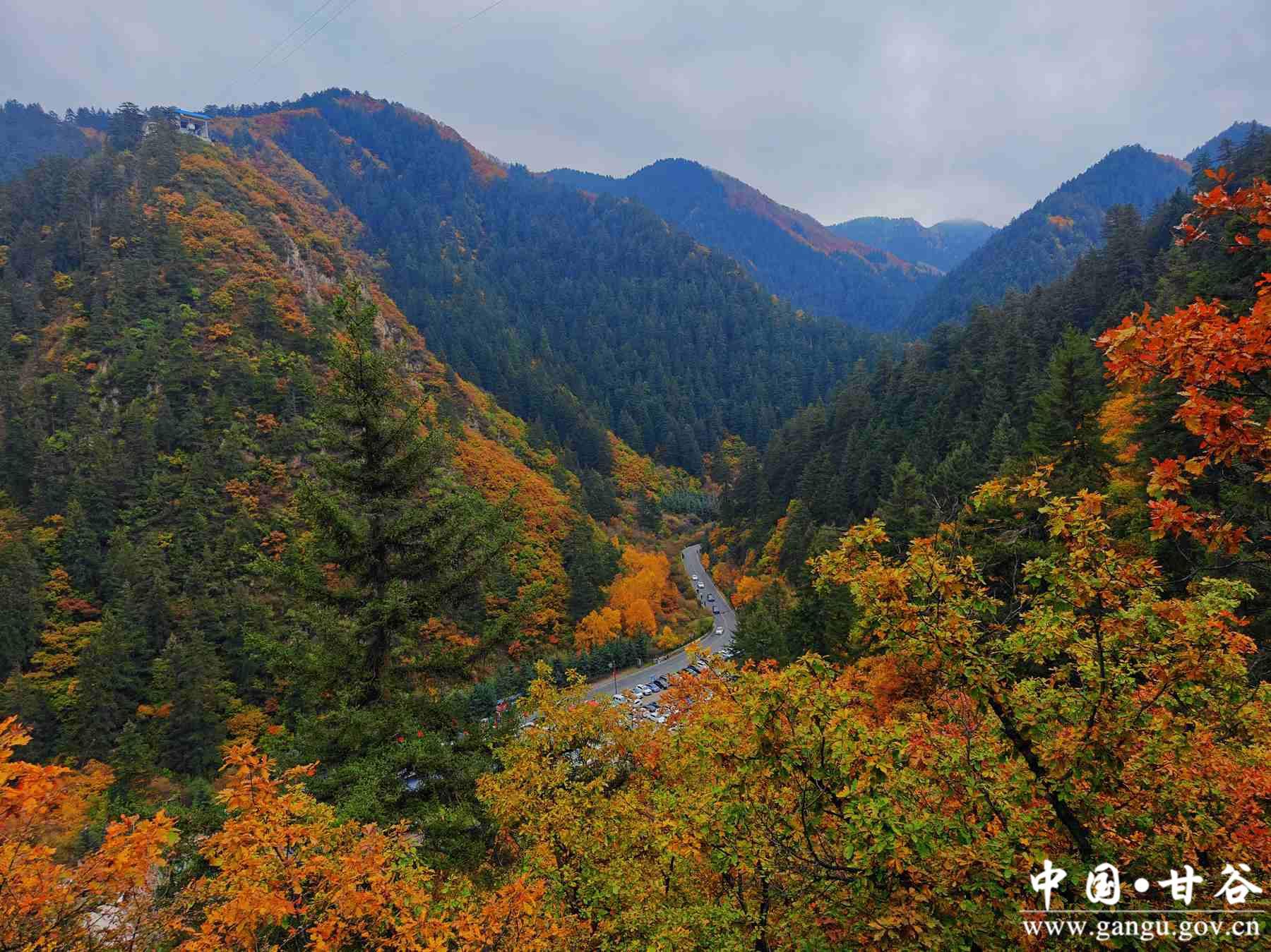 程新芳 (13) 程新芳 (13)