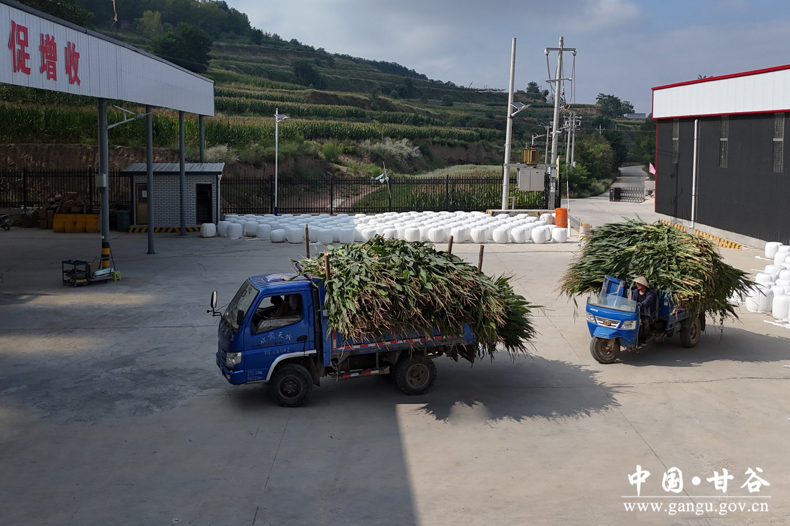 1724375958032086006.jpg 1724375958032086006.jpg