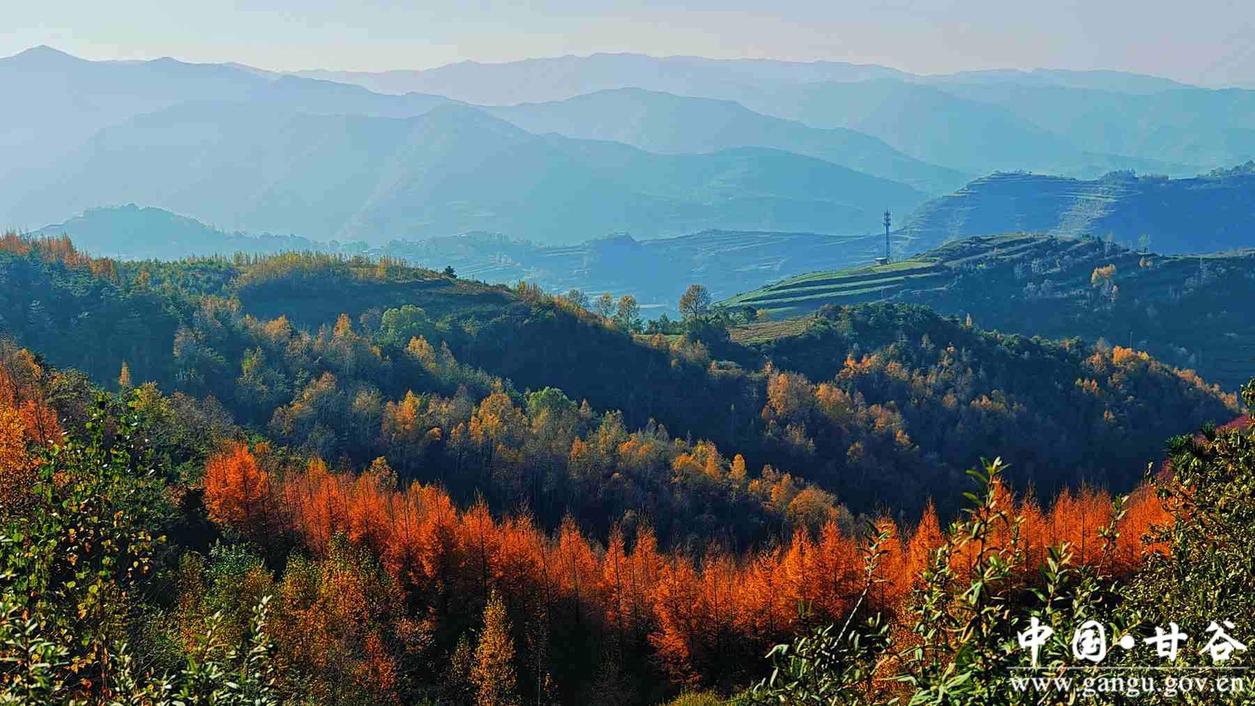 程新芳 (22) 程新芳 (22)