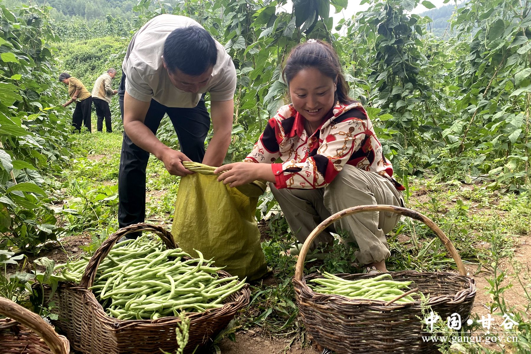 9551a0b4a8bda9c792b4a8c6137cbbe 9551a0b4a8bda9c792b4a8c6137cbbe