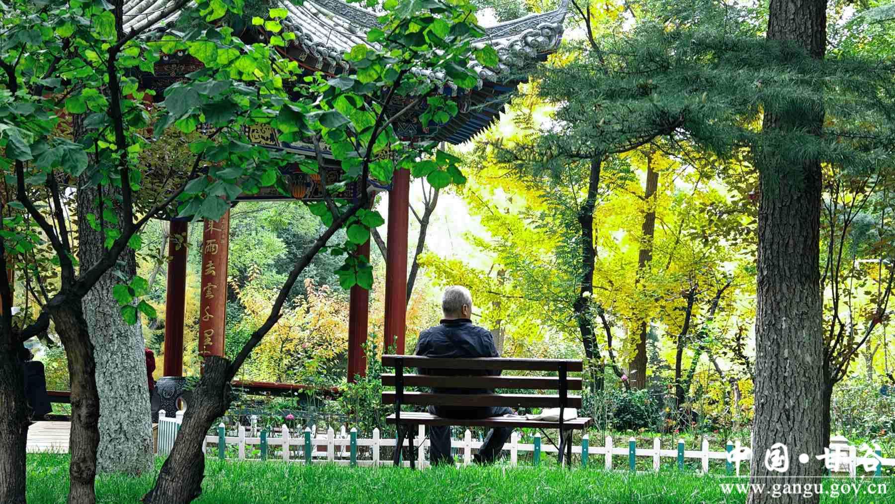 程新芳 (16) 程新芳 (16)