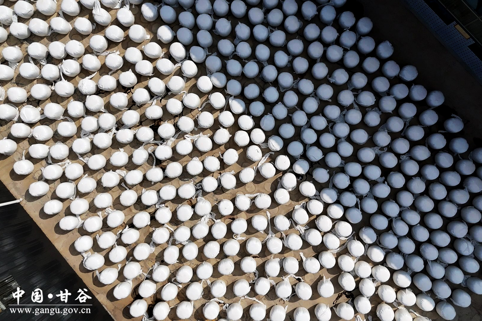 1724375915215088425.jpg 1724375915215088425.jpg