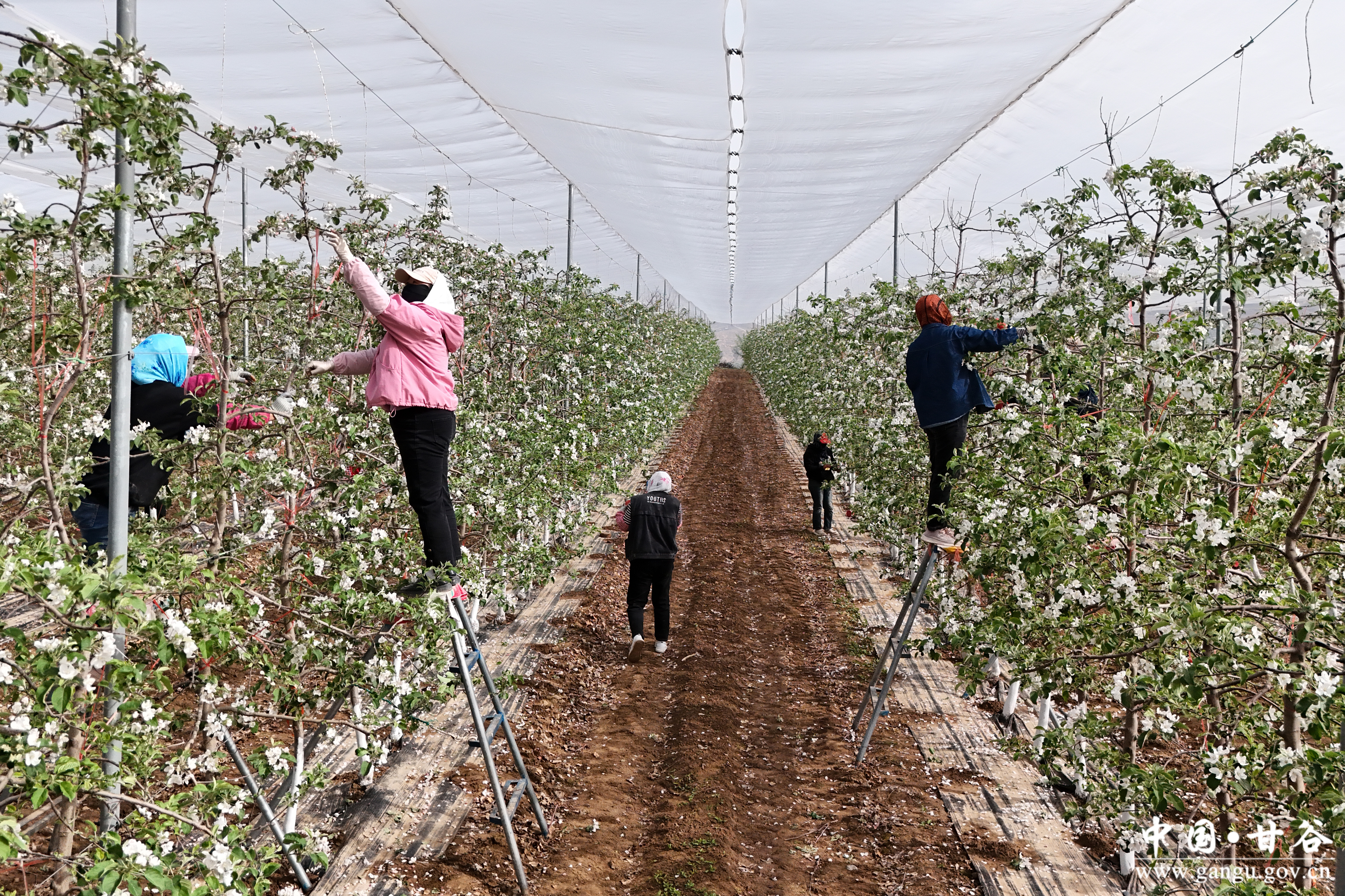 1776392944183018642.jpg 1776392944183018642.jpg