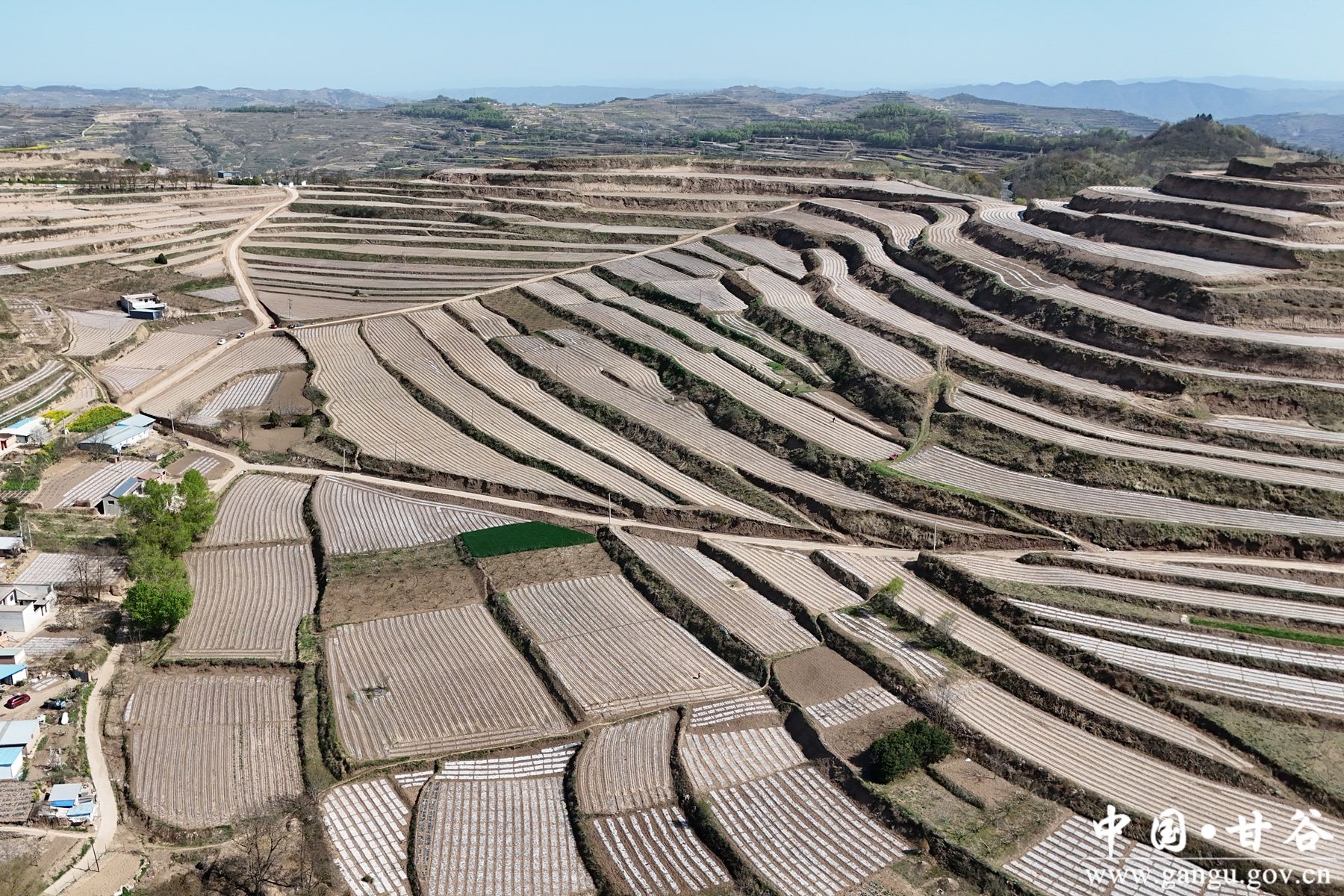 微信图片_20260420104355_32_38 微信图片_20260420104355_32_38