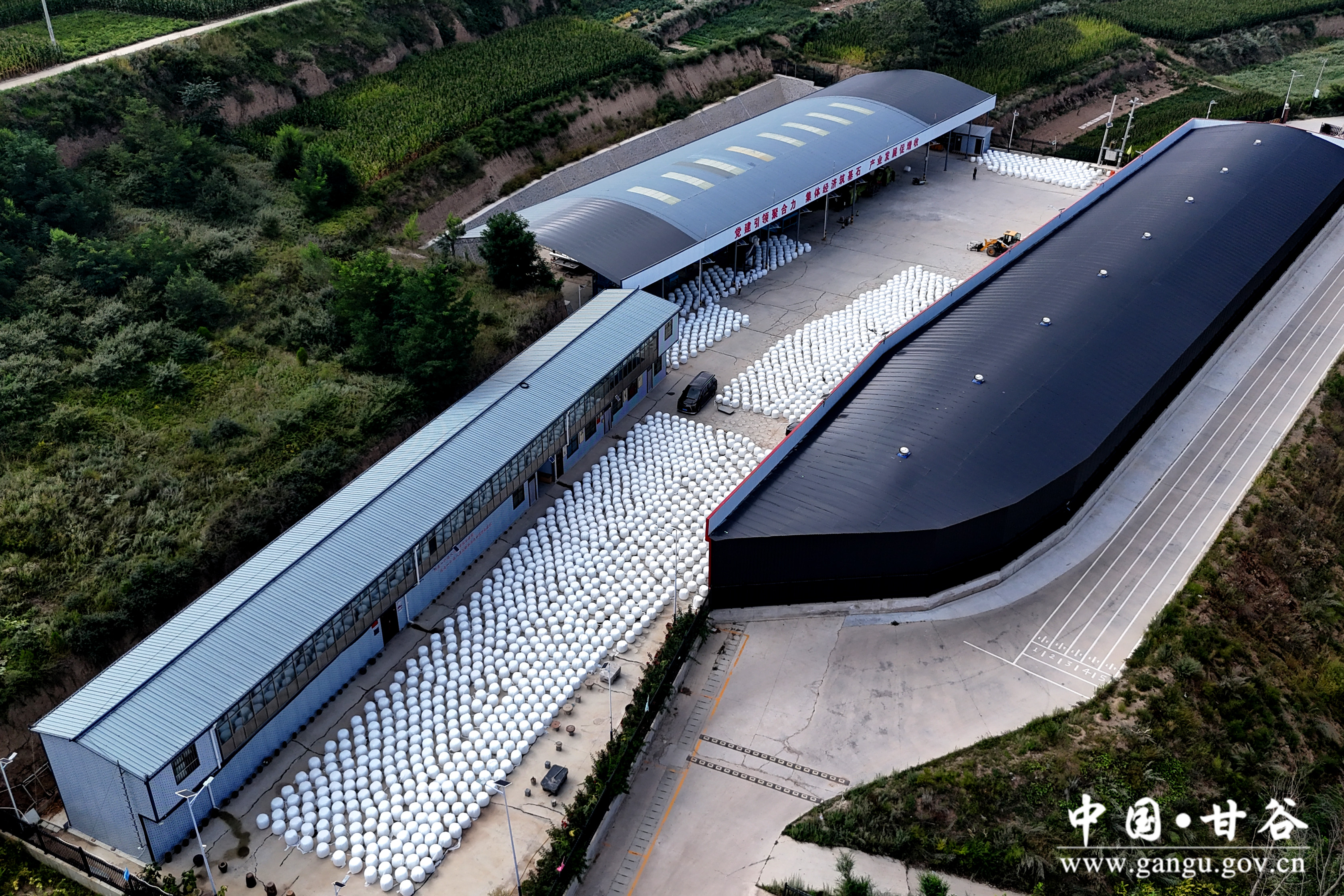 1724375829297032286.jpg 1724375829297032286.jpg