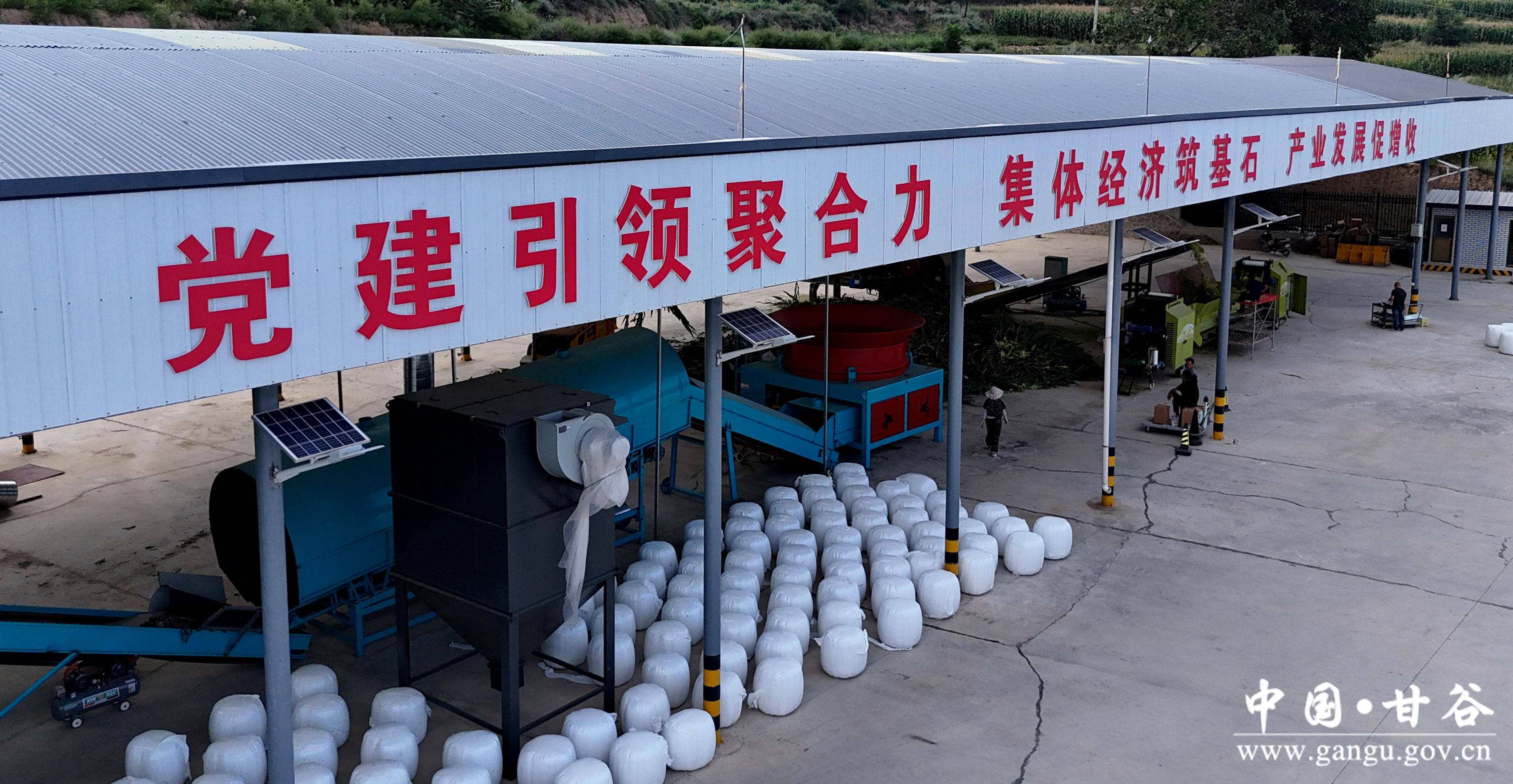 1724376227298050431.jpg 1724376227298050431.jpg