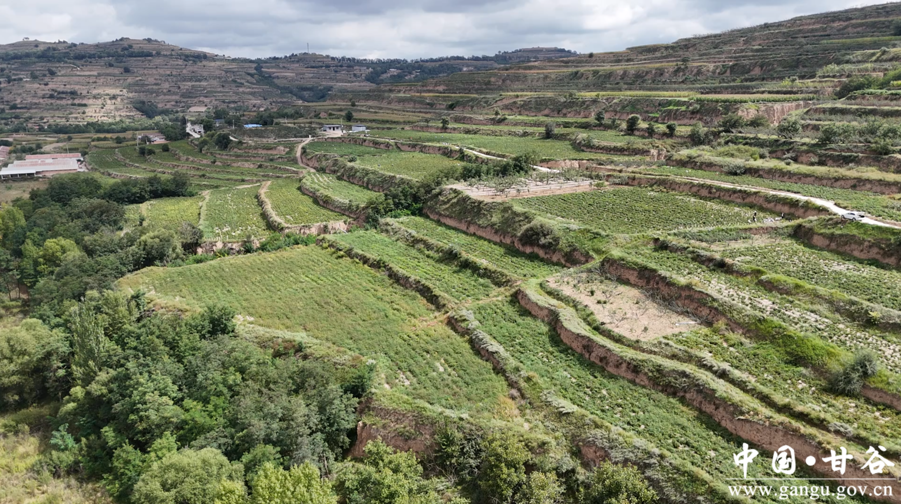 微信图片_20251125163958_95_46 微信图片_20251125163958_95_46