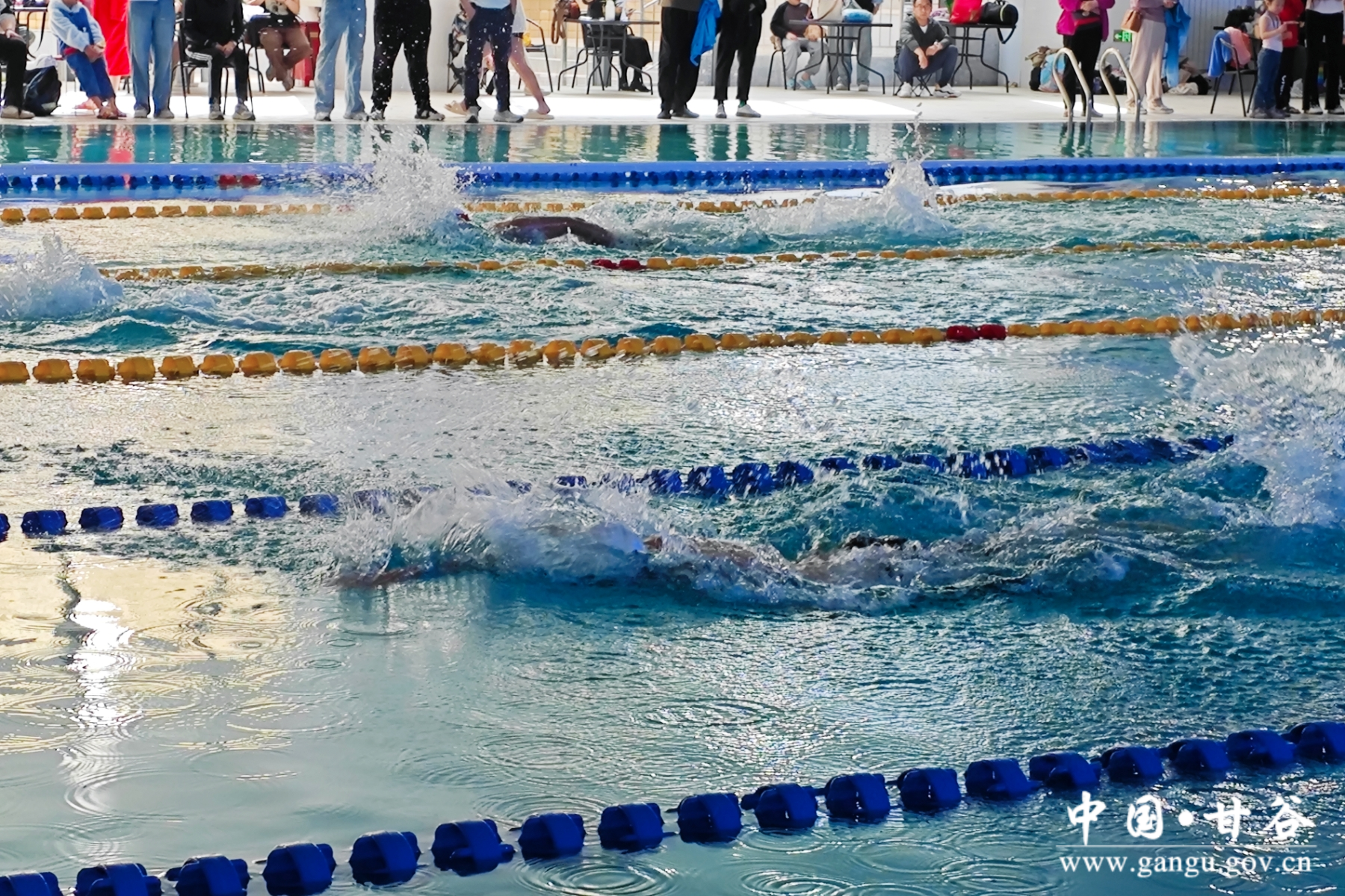 微信图片_20250420001531