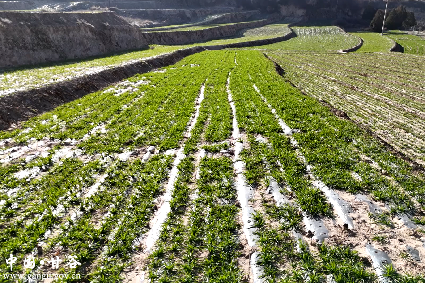 efafac5e6ba57f564381b06e42be51da efafac5e6ba57f564381b06e42be51da