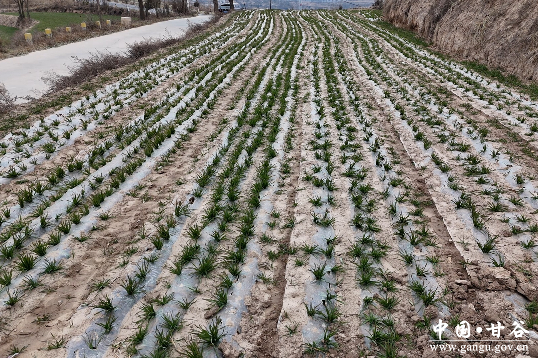 微信图片_20251210111054_42_148 微信图片_20251210111054_42_148