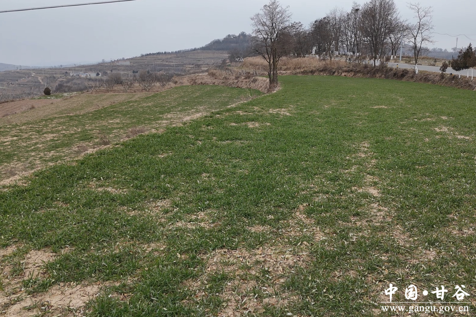 微信图片_20251210111056_43_148 微信图片_20251210111056_43_148