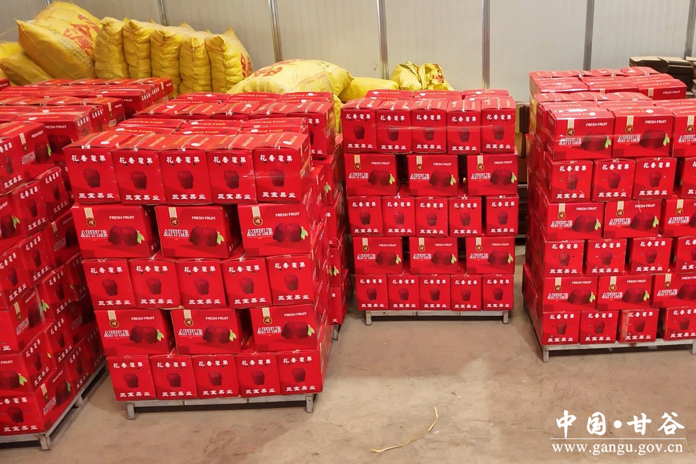 1733972006943098791.jpg 1733972006943098791.jpg