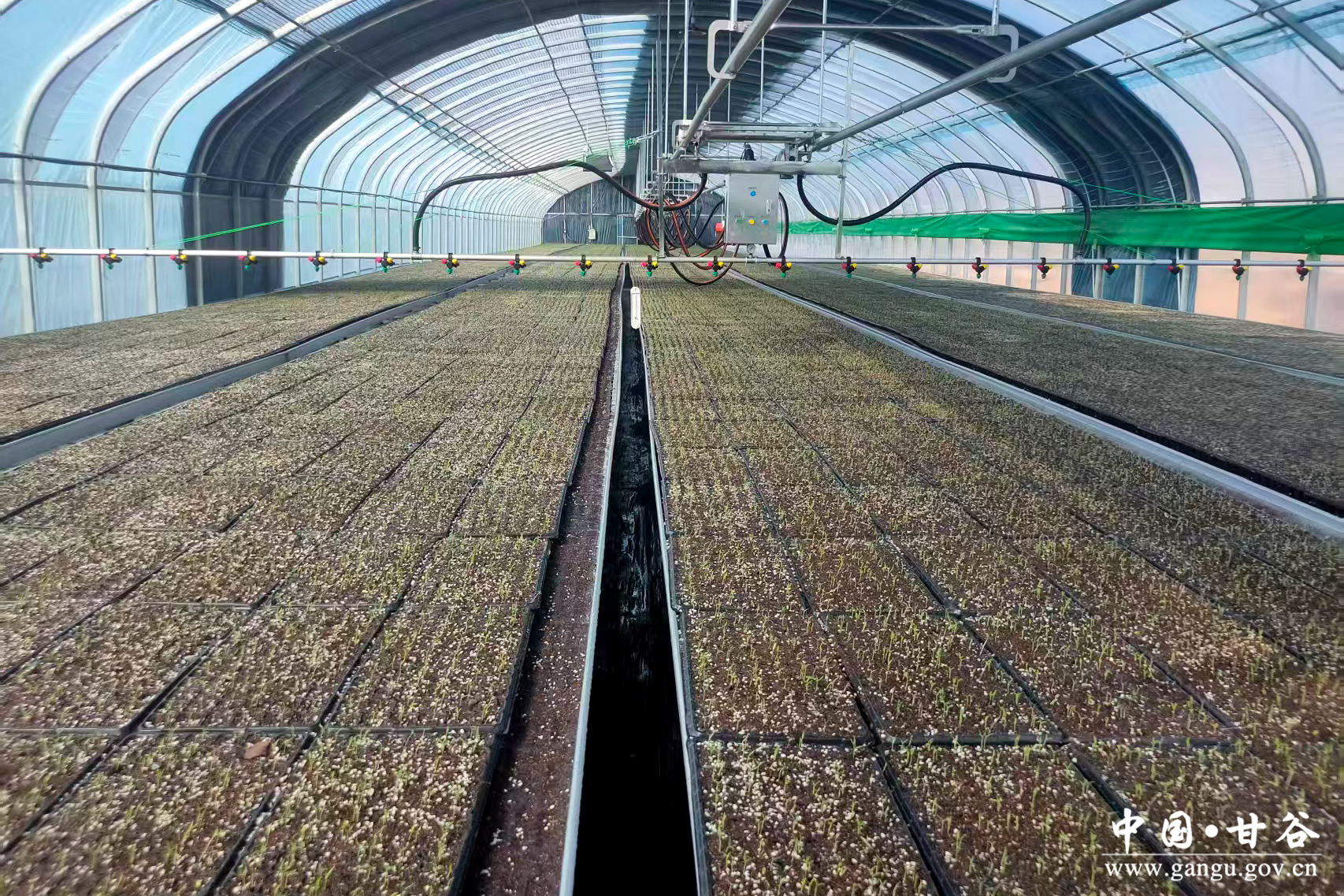 1773283219306026693.jpg 1773283219306026693.jpg