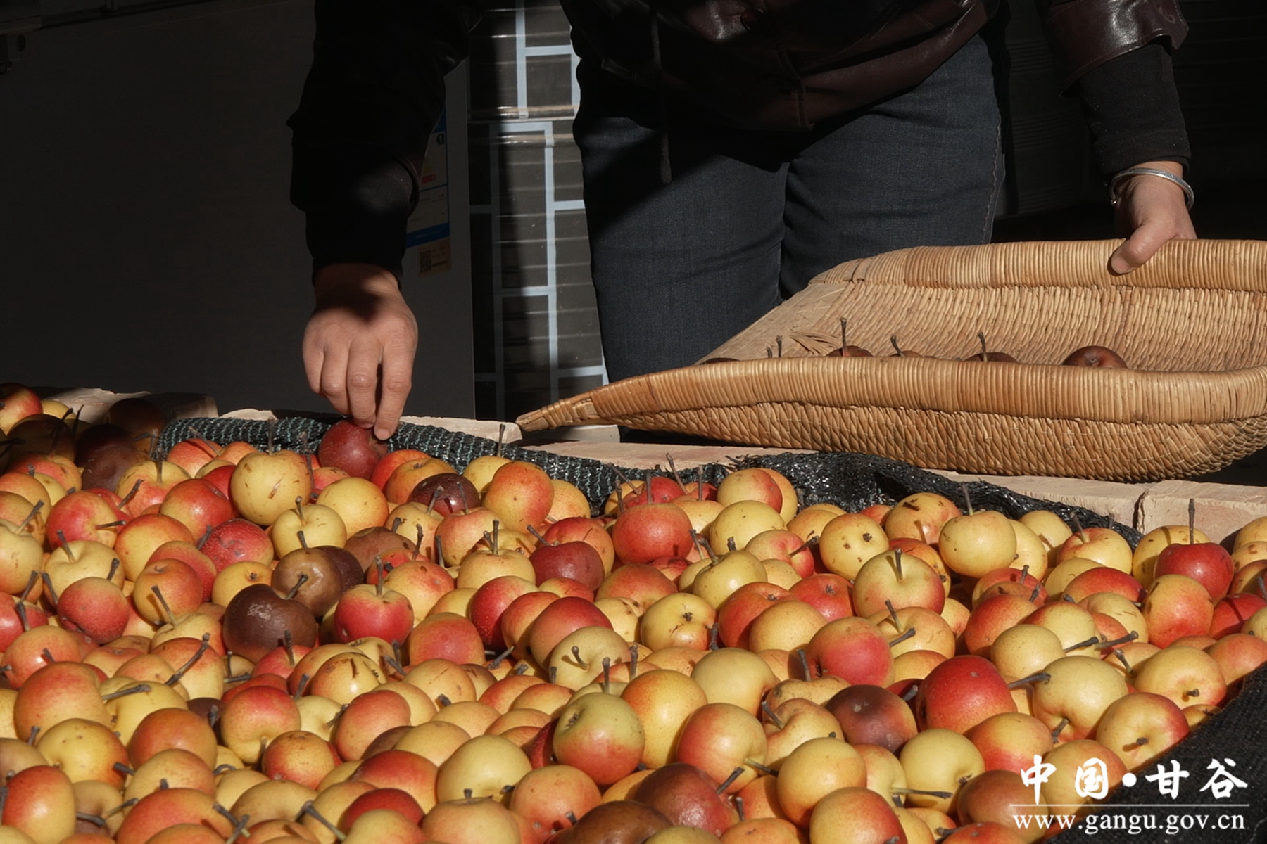 微信图片_20251125170817_2_148 微信图片_20251125170817_2_148