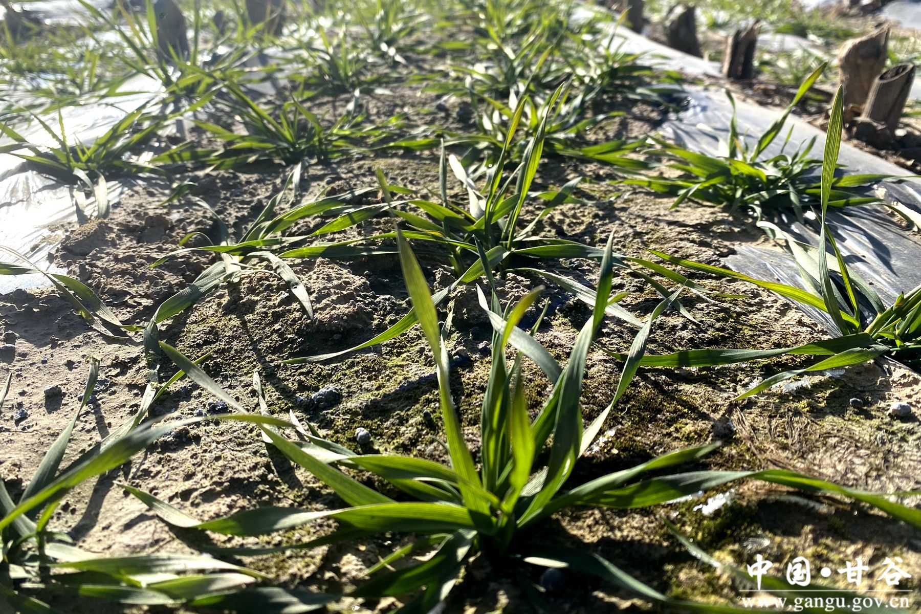 a20db05ec382db30306b5c8c3e0b8384 a20db05ec382db30306b5c8c3e0b8384