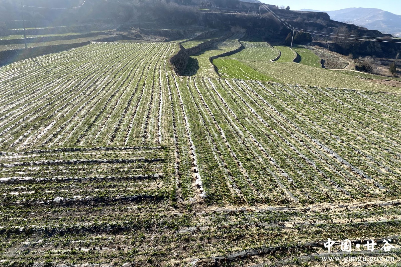 6eb57139bea1112494263eb963c00d92 6eb57139bea1112494263eb963c00d92