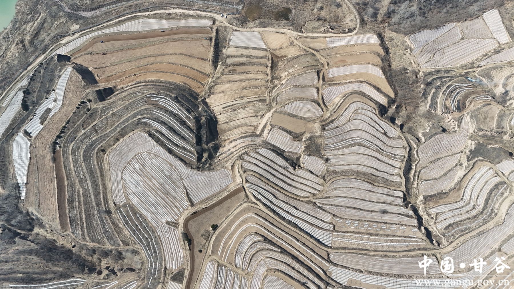 微信图片_20260312102721_219_58 微信图片_20260312102721_219_58