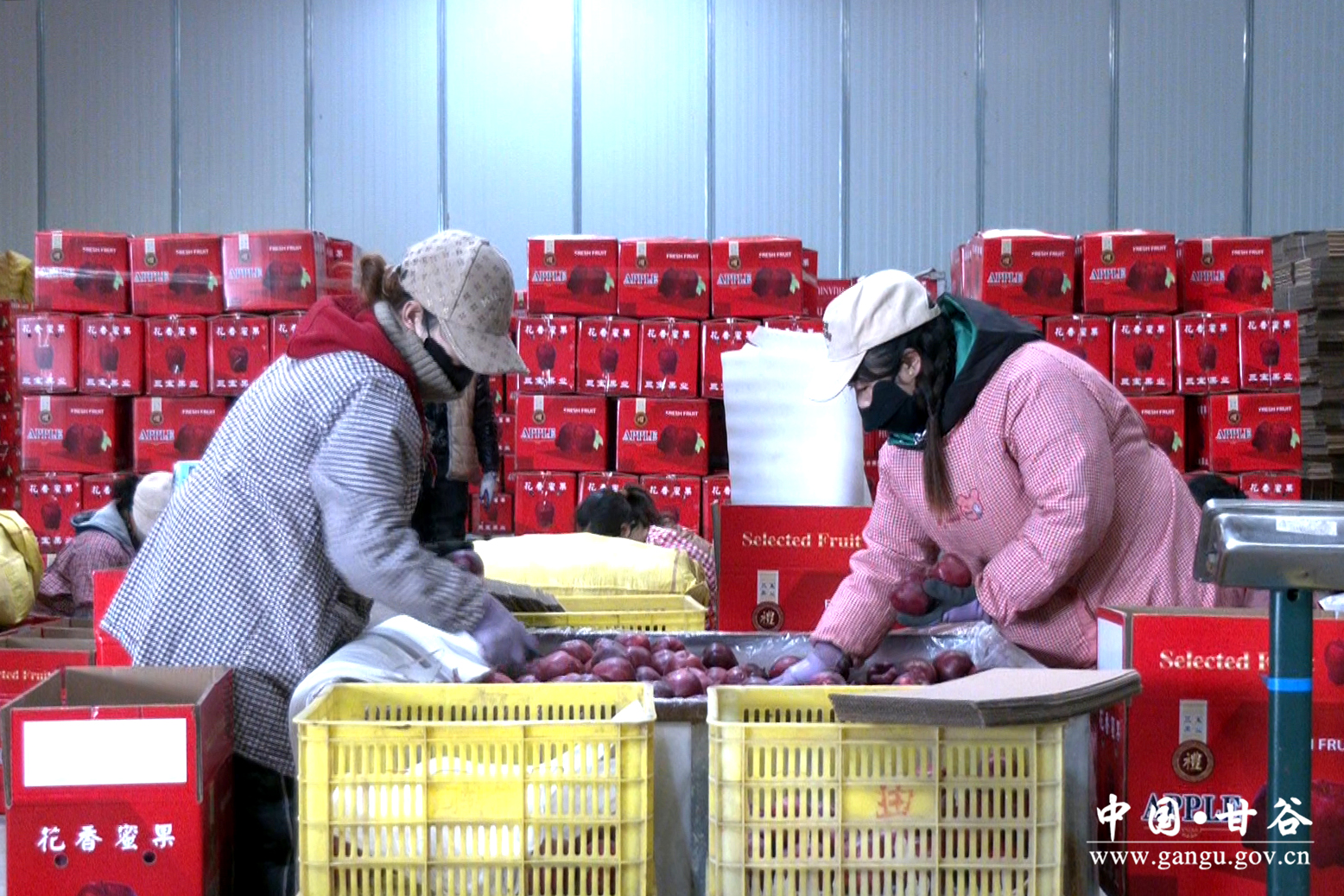 1733971954515090886.jpg 1733971954515090886.jpg