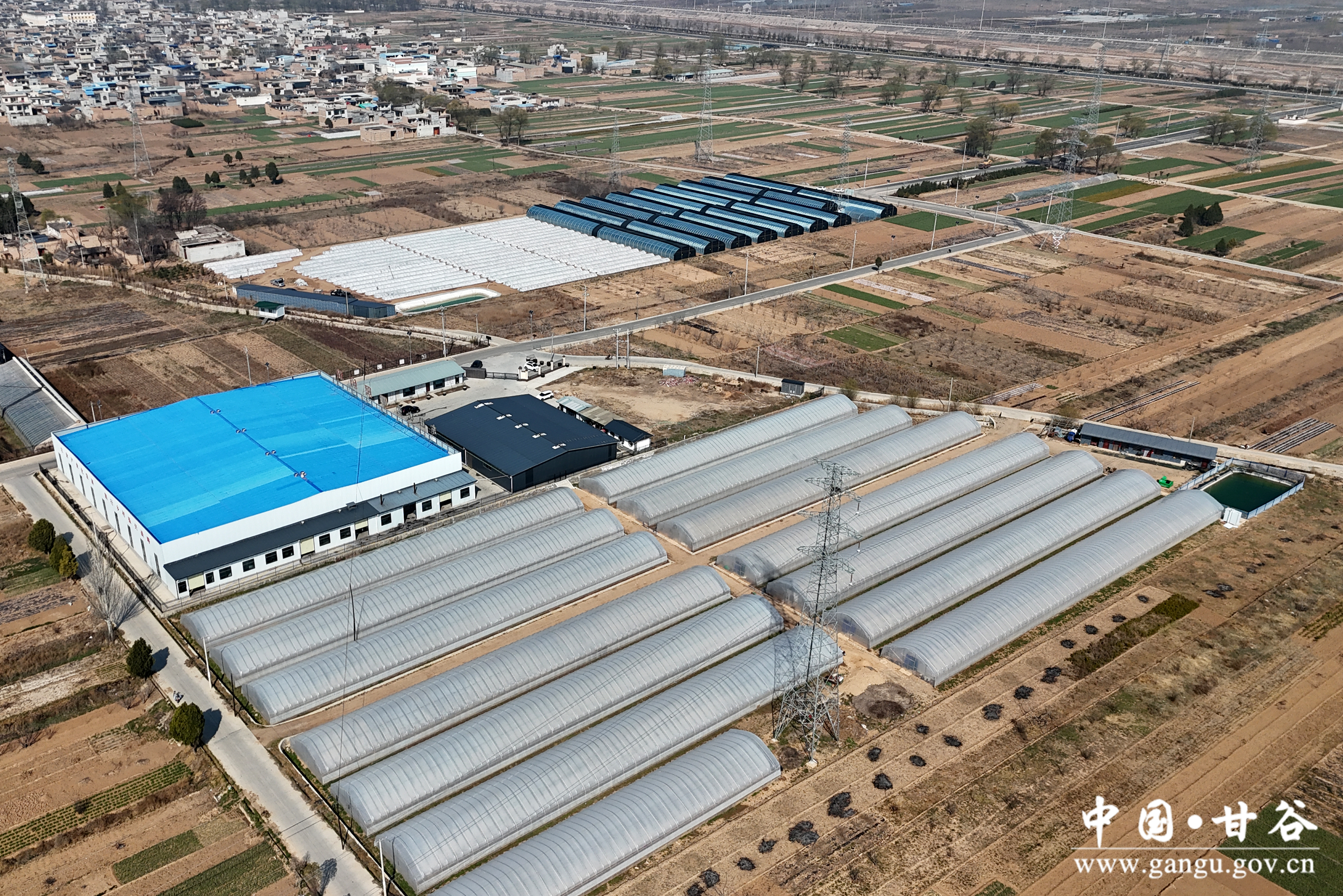 1773283517598030359.jpg 1773283517598030359.jpg