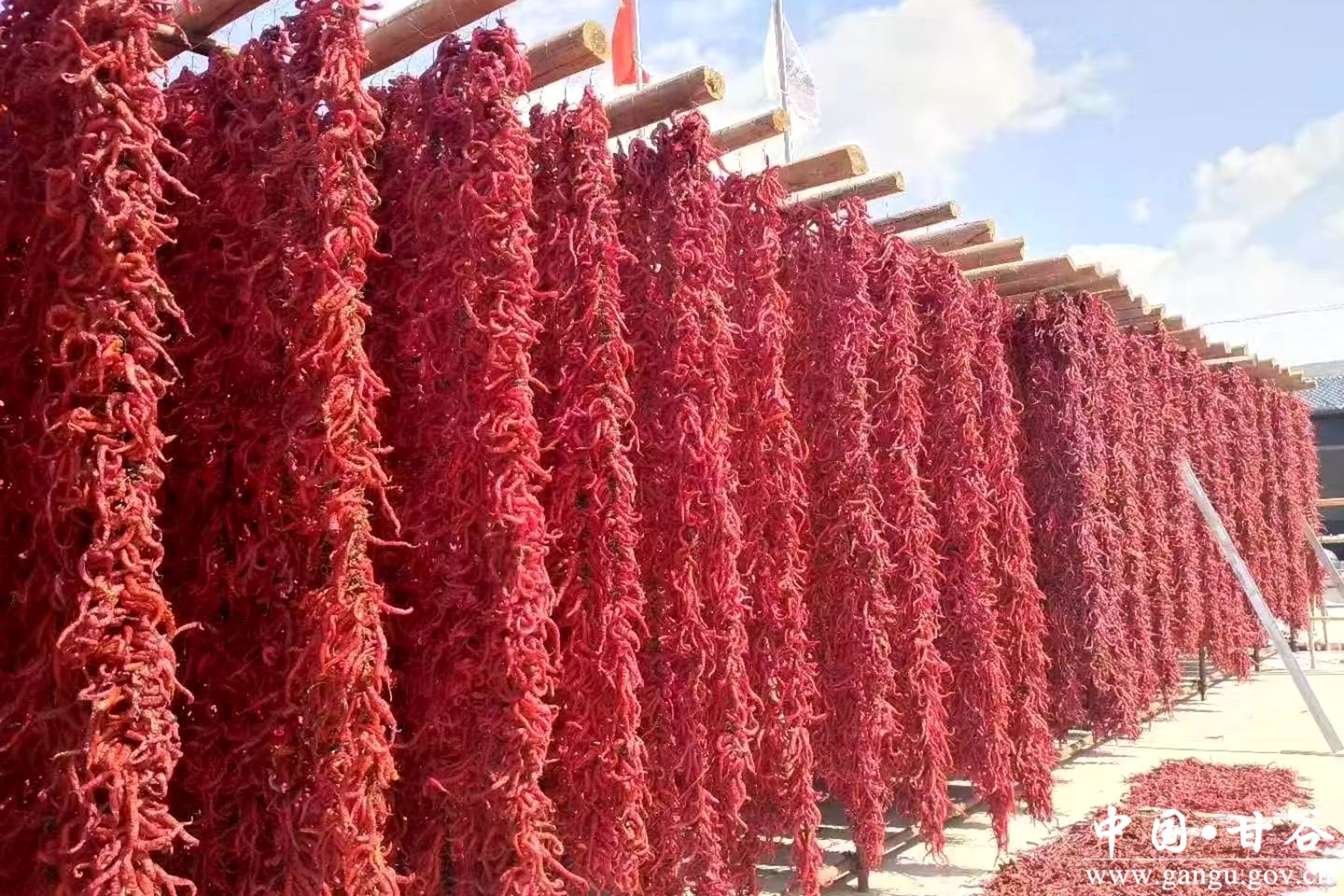 微信图片_20251125163955_94_46 微信图片_20251125163955_94_46