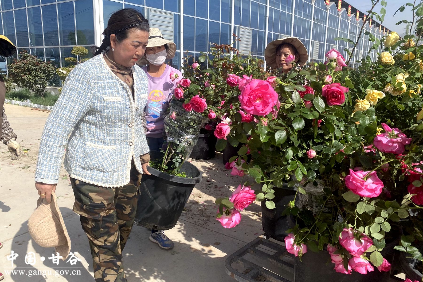 fe7334ec7293d559a3ee9ff3dcdd4f0 fe7334ec7293d559a3ee9ff3dcdd4f0