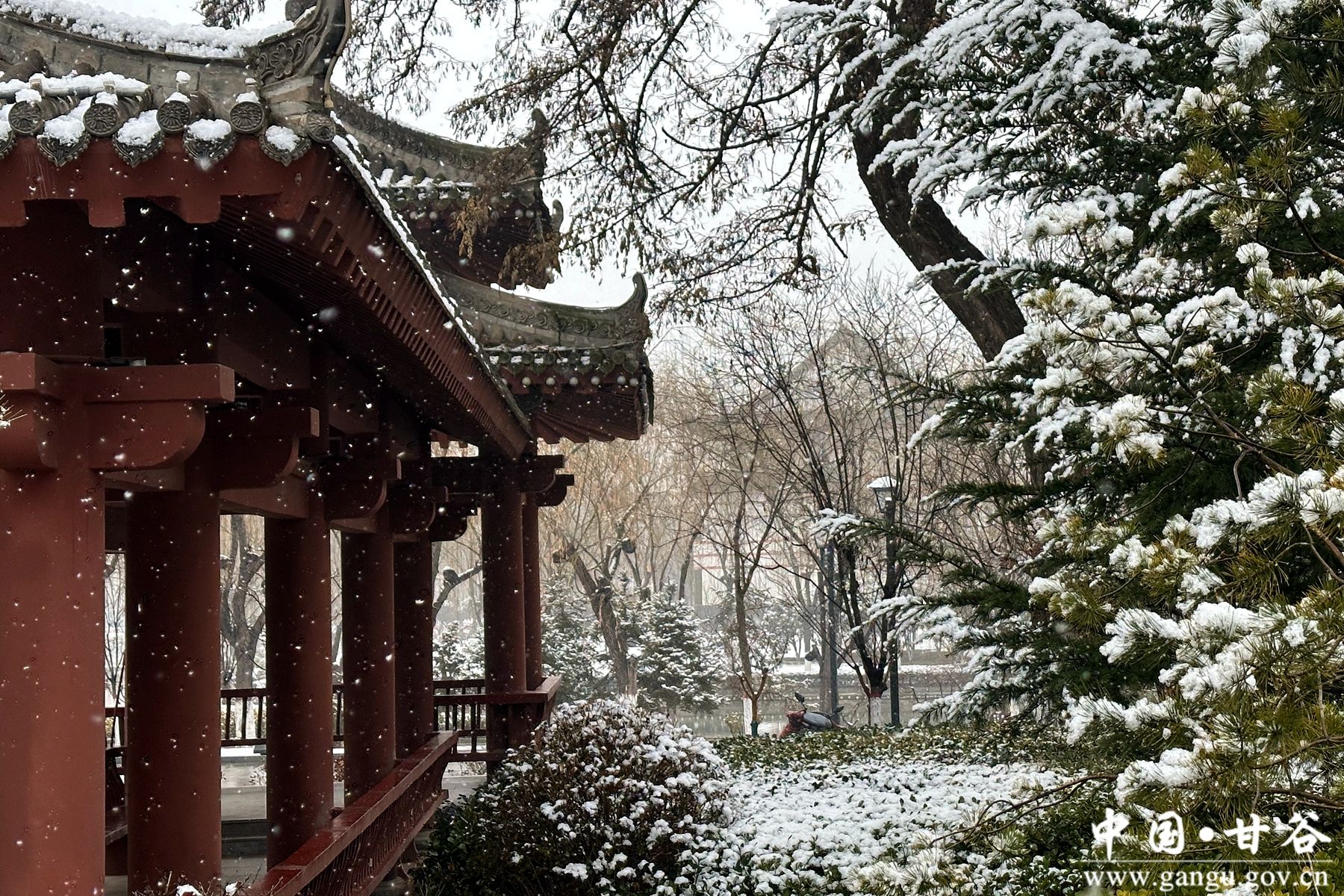 微信图片_20250220111741 微信图片_20250220111741