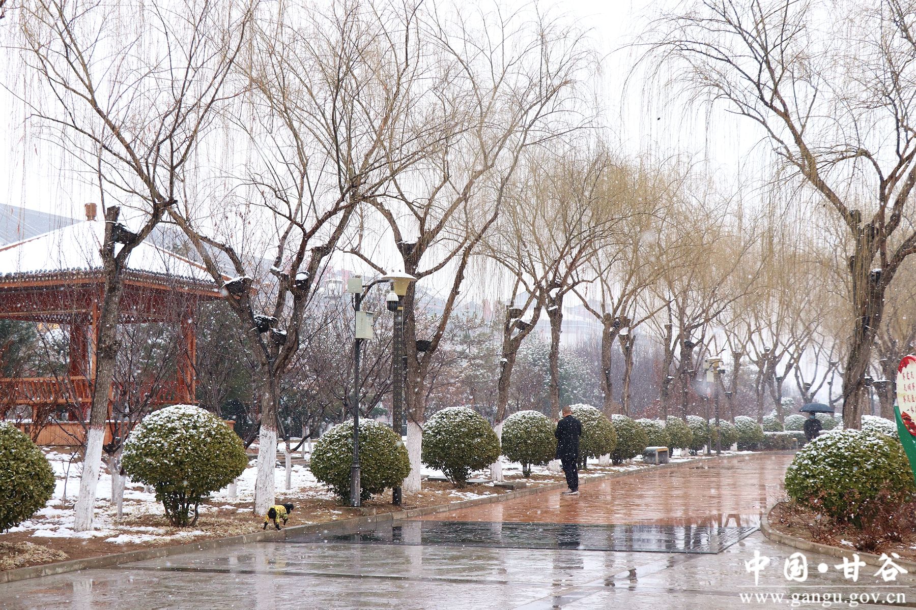 微信图片_20250220111720 微信图片_20250220111720