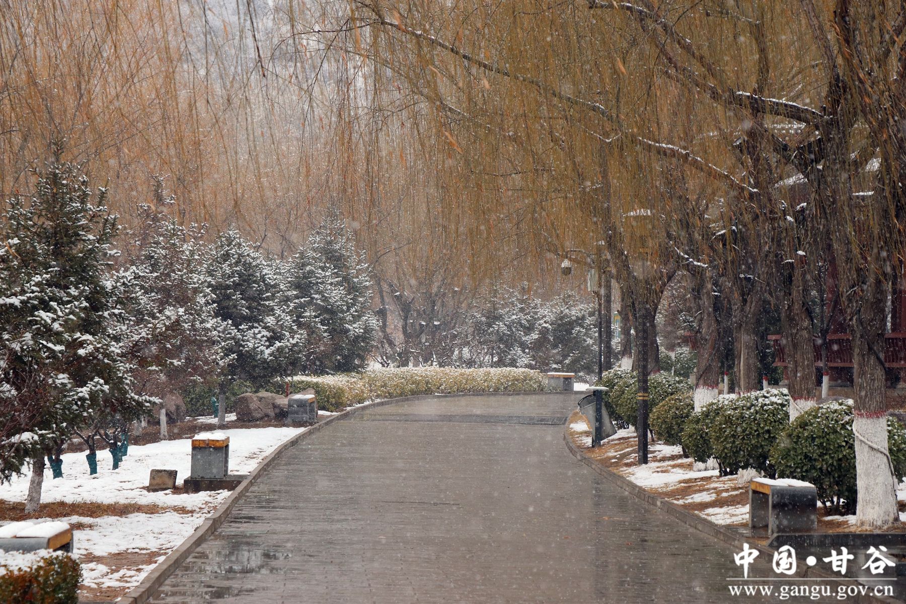 微信图片_20250220111726 微信图片_20250220111726