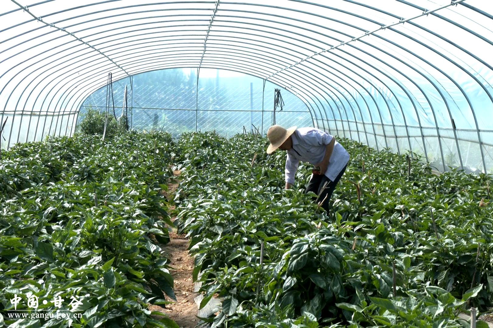 1721014480664037936.jpg 1721014480664037936.jpg