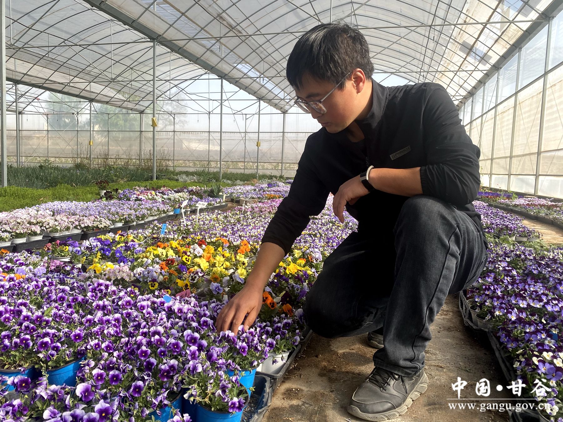 4c79acdf5e02c9b17bb7e35b36ee135 4c79acdf5e02c9b17bb7e35b36ee135