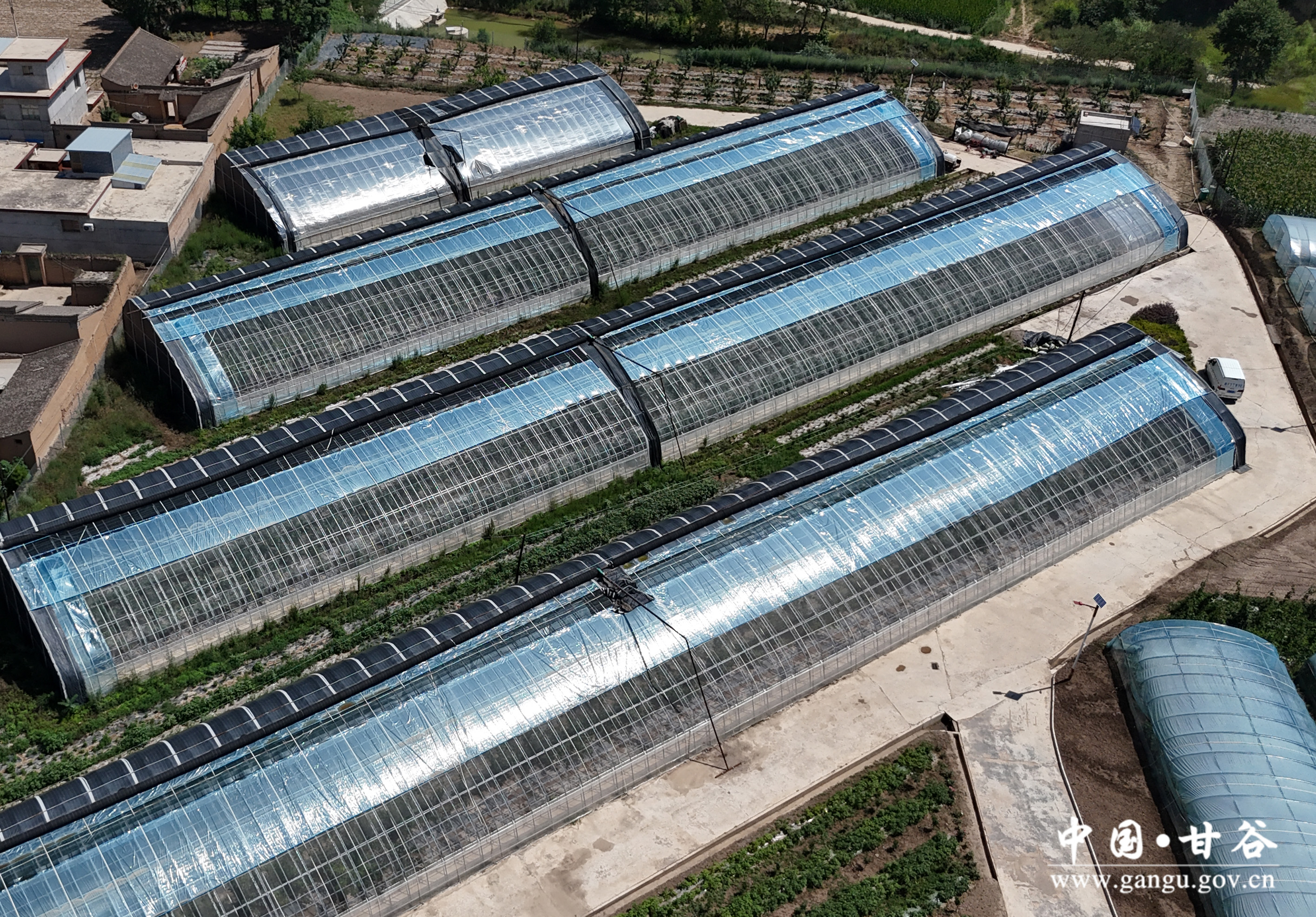 1721014100424074212.jpg 1721014100424074212.jpg