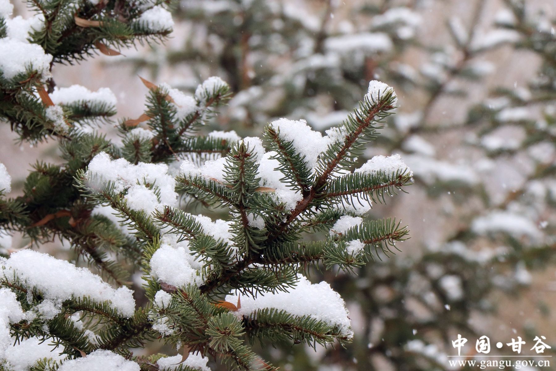 微信图片_20250220111728 微信图片_20250220111728