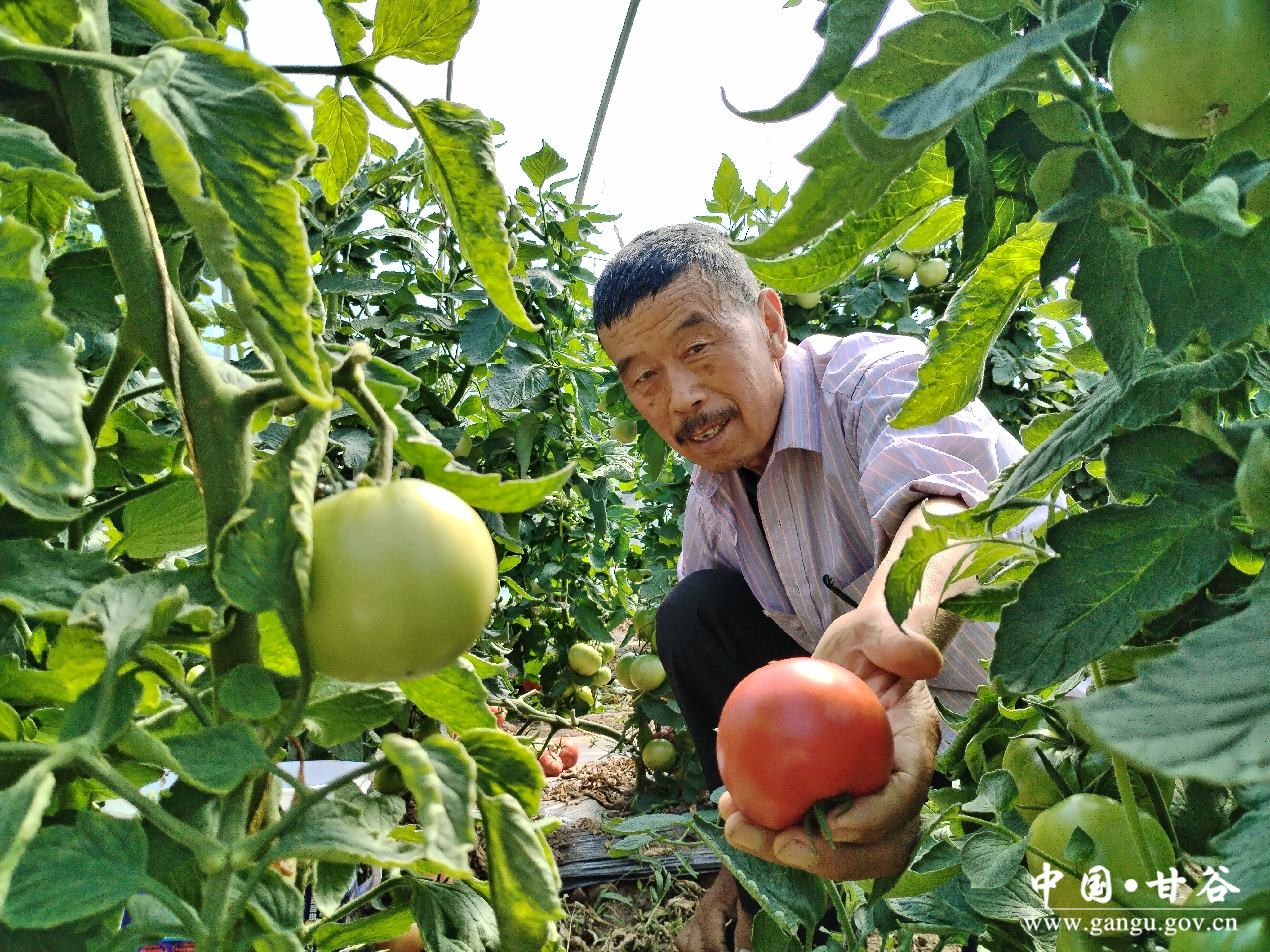 1721014038542072772.jpg 1721014038542072772.jpg